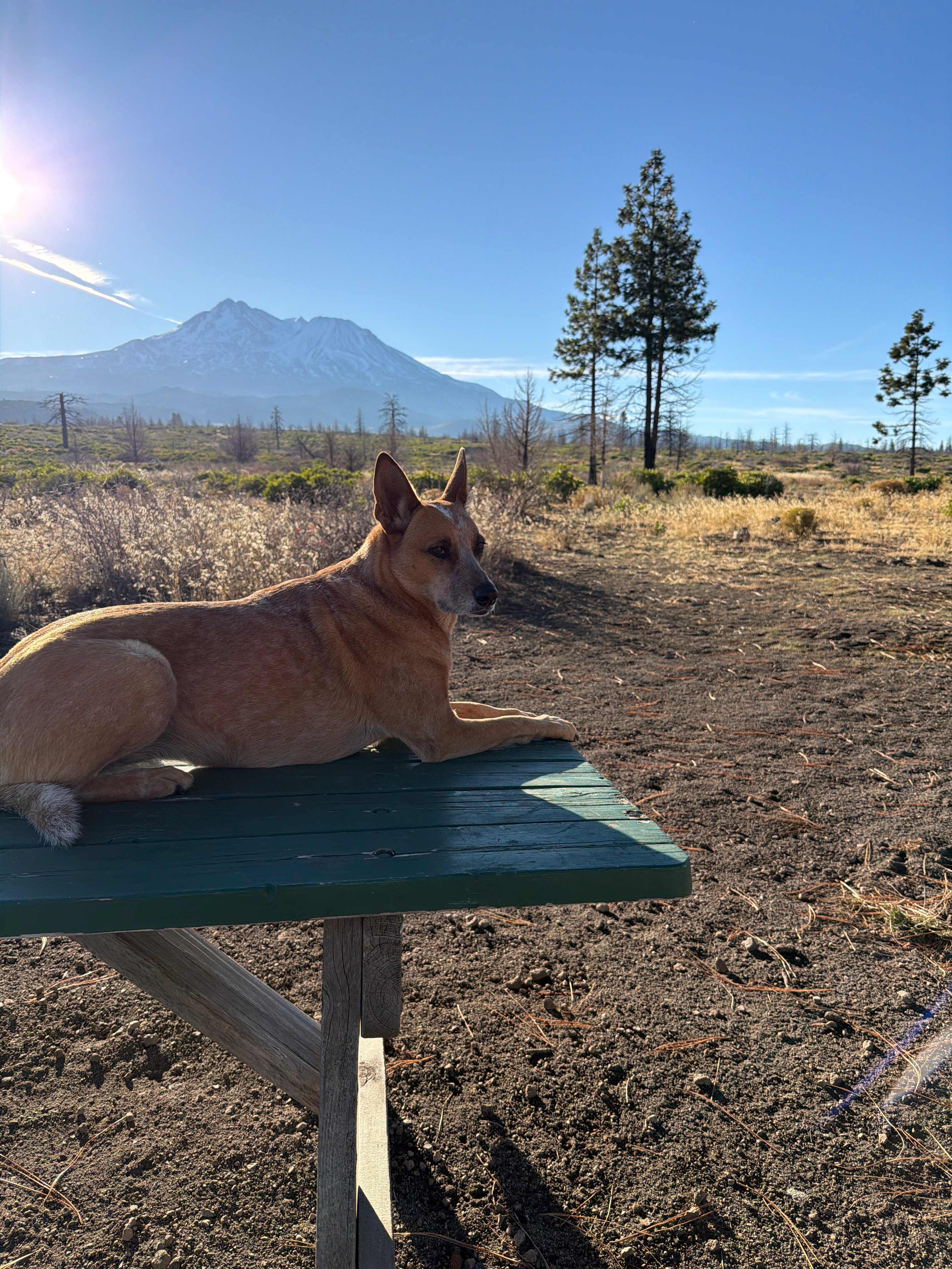 Juniper Valley Campsites