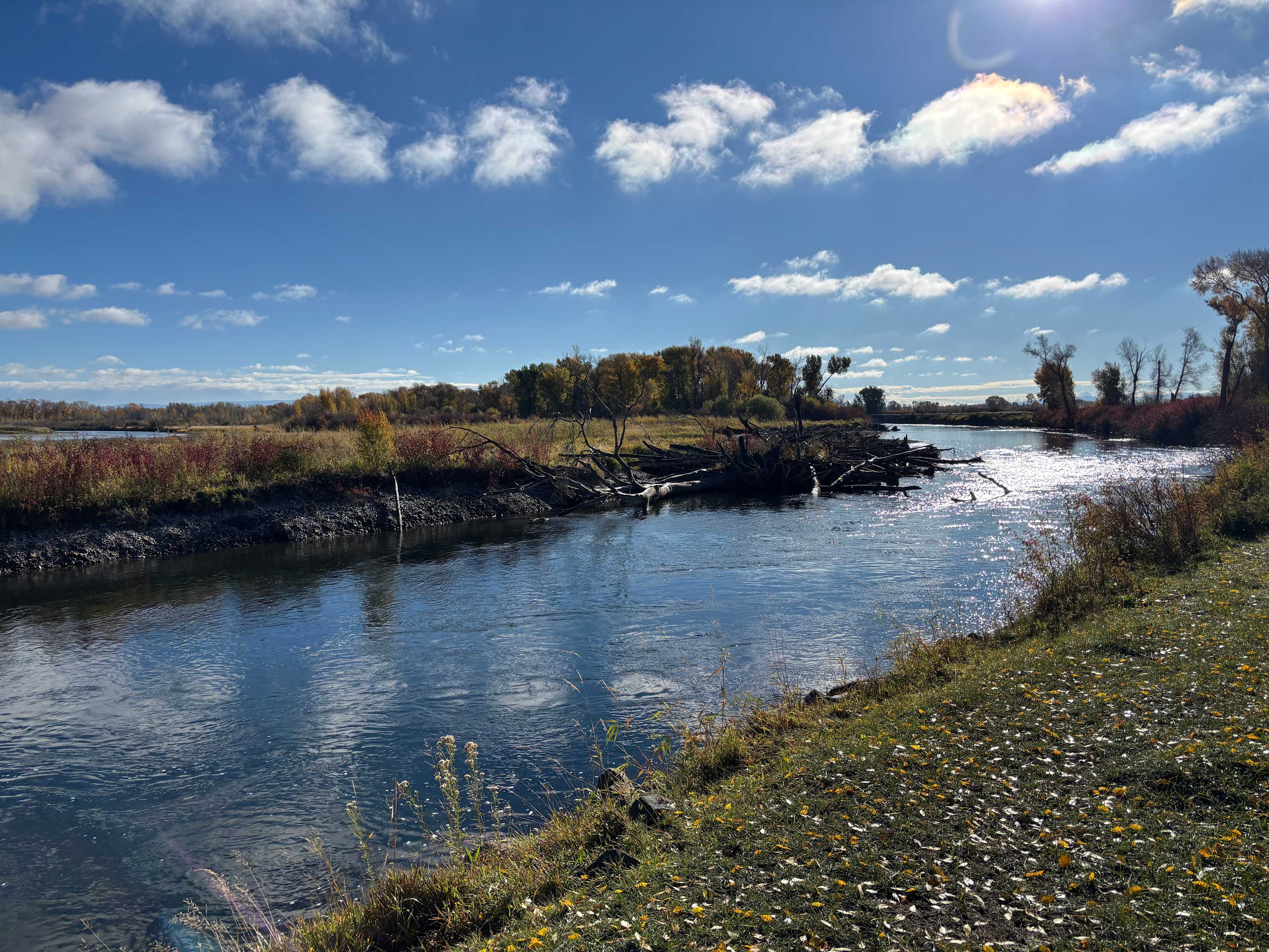 Riverside Retreat-Rigby