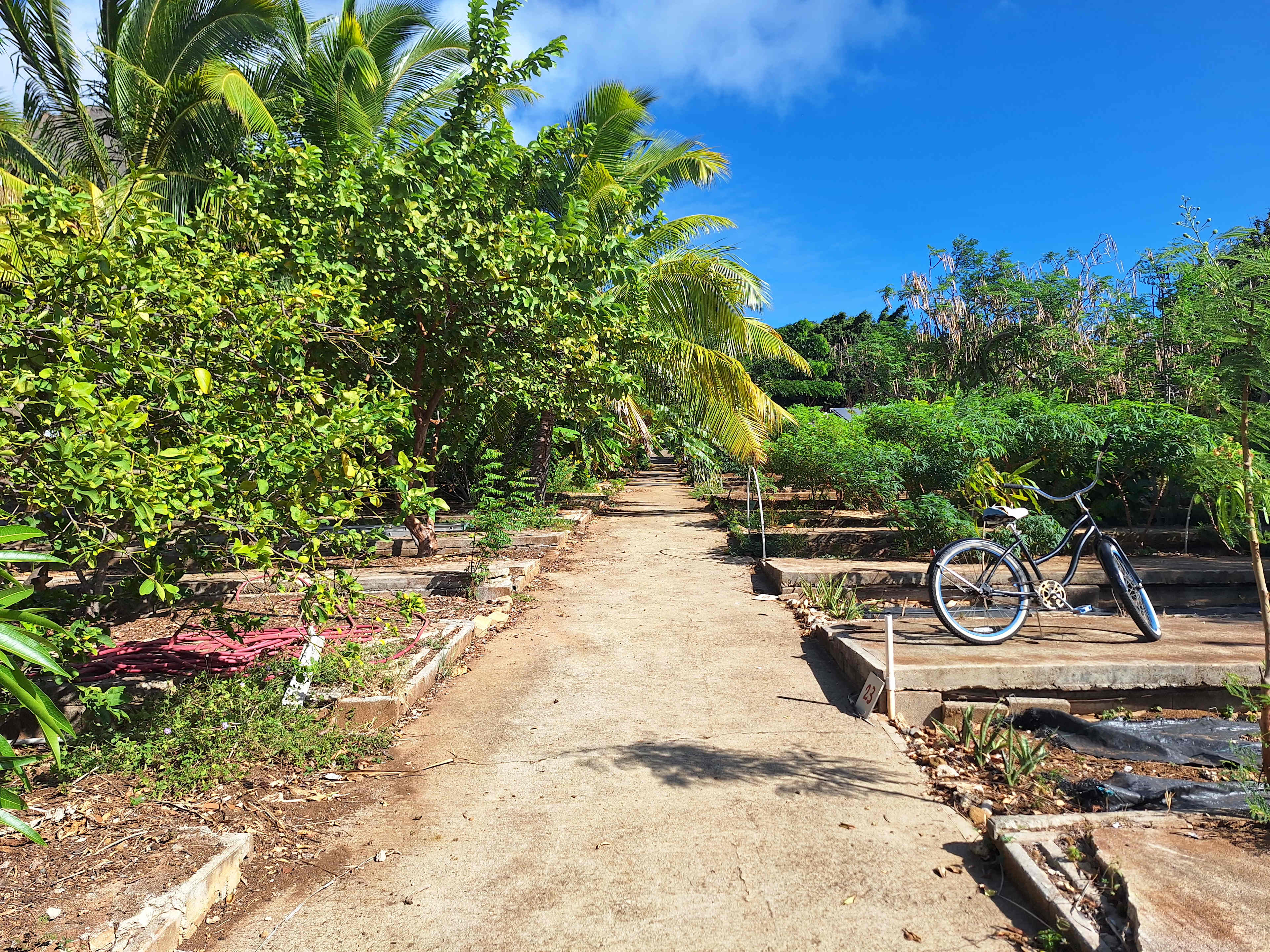 Sun Farm Hawaii @ Koko Head