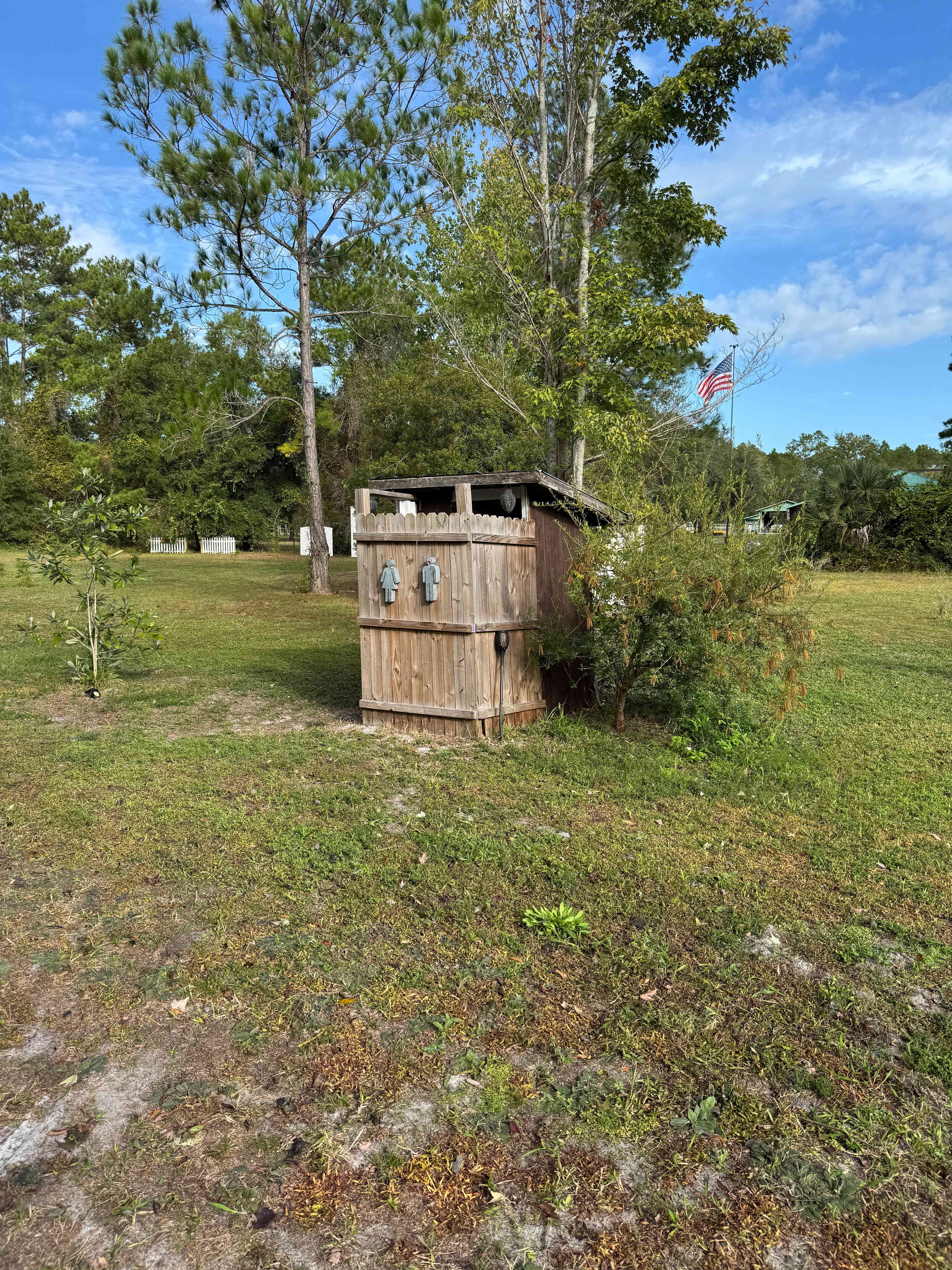 Serene Forested Blueberry Farm