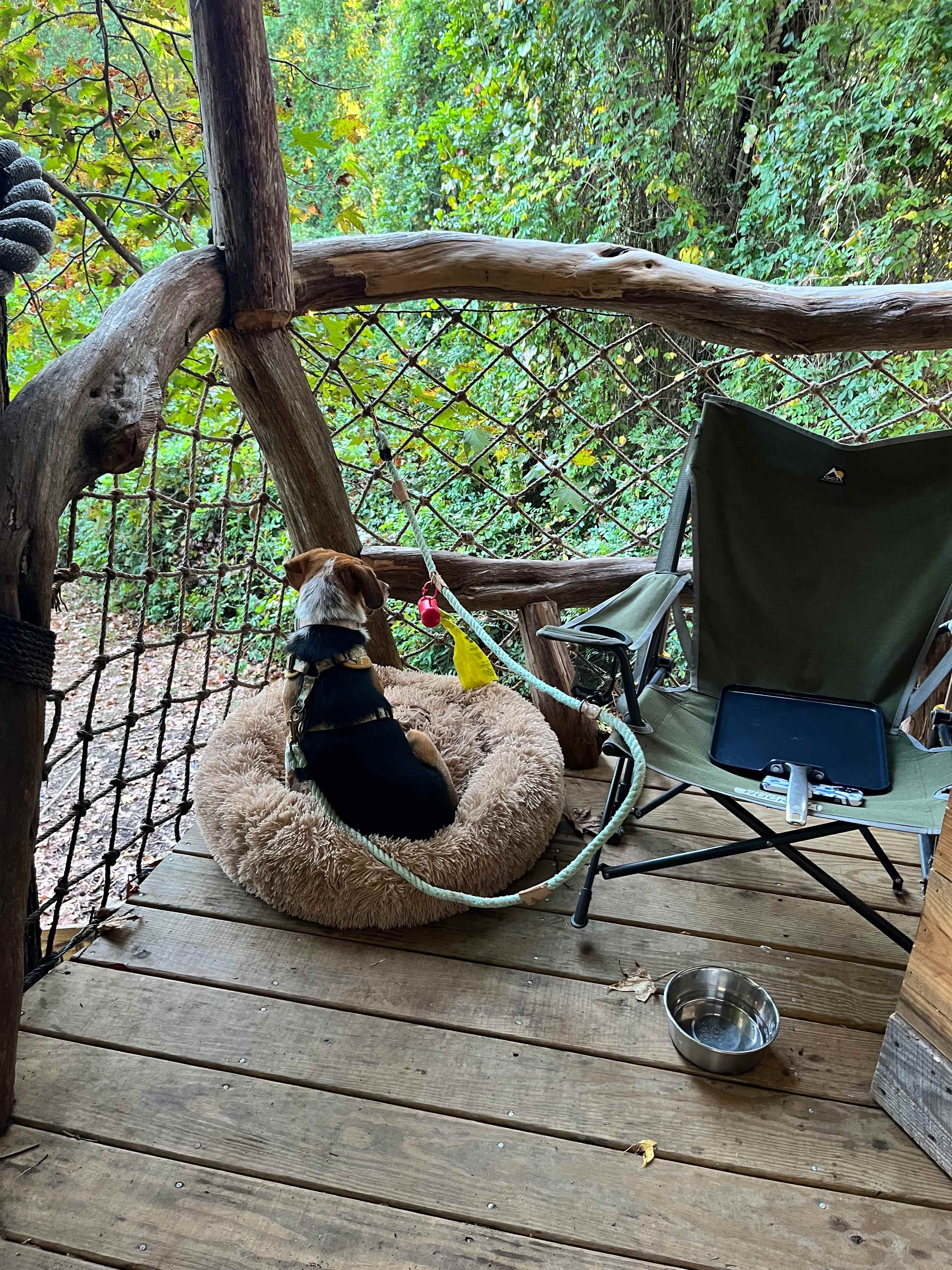The Guinea Farm, Field, and Forest