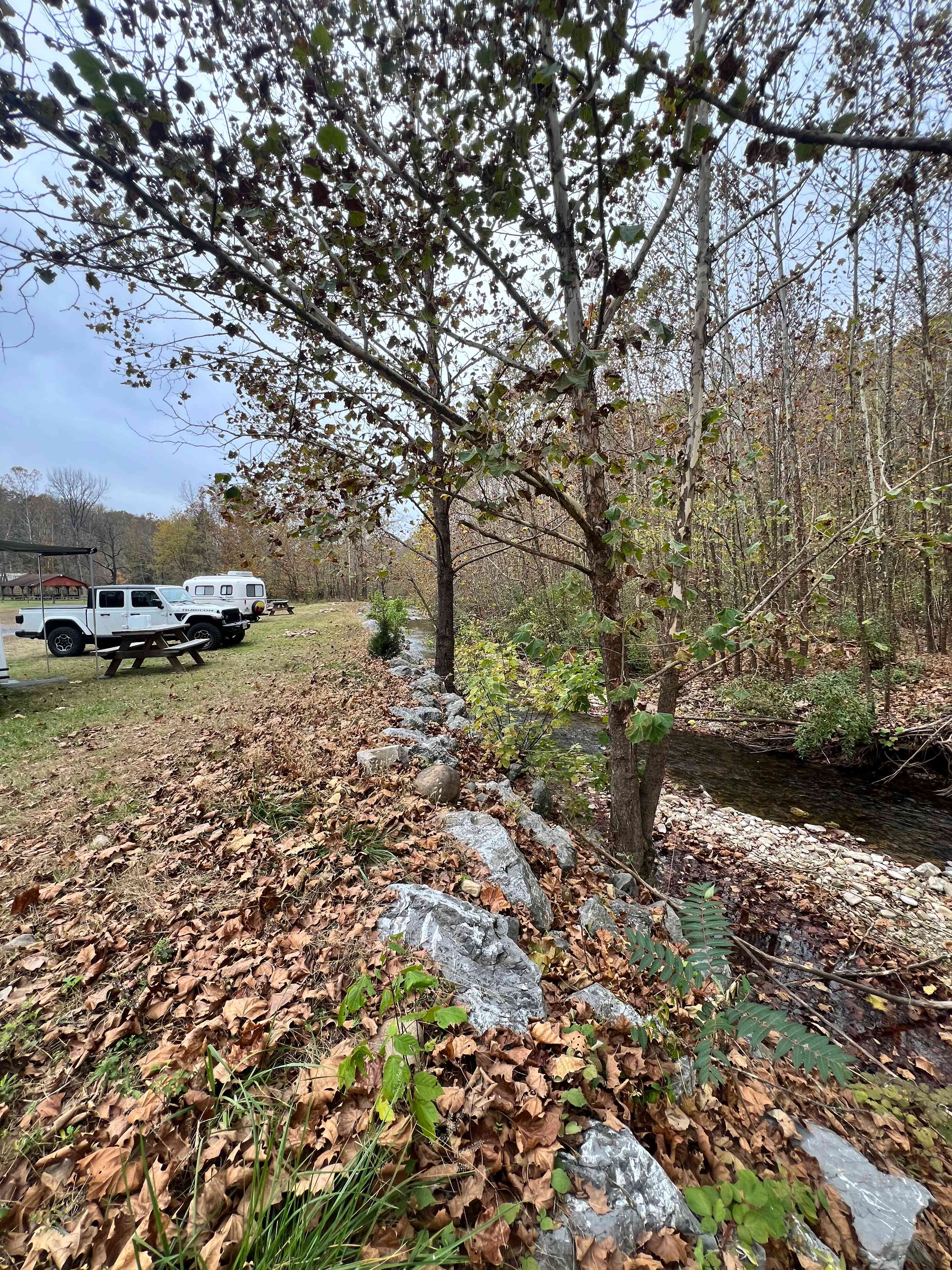 Swedish Lilac Campground & Events