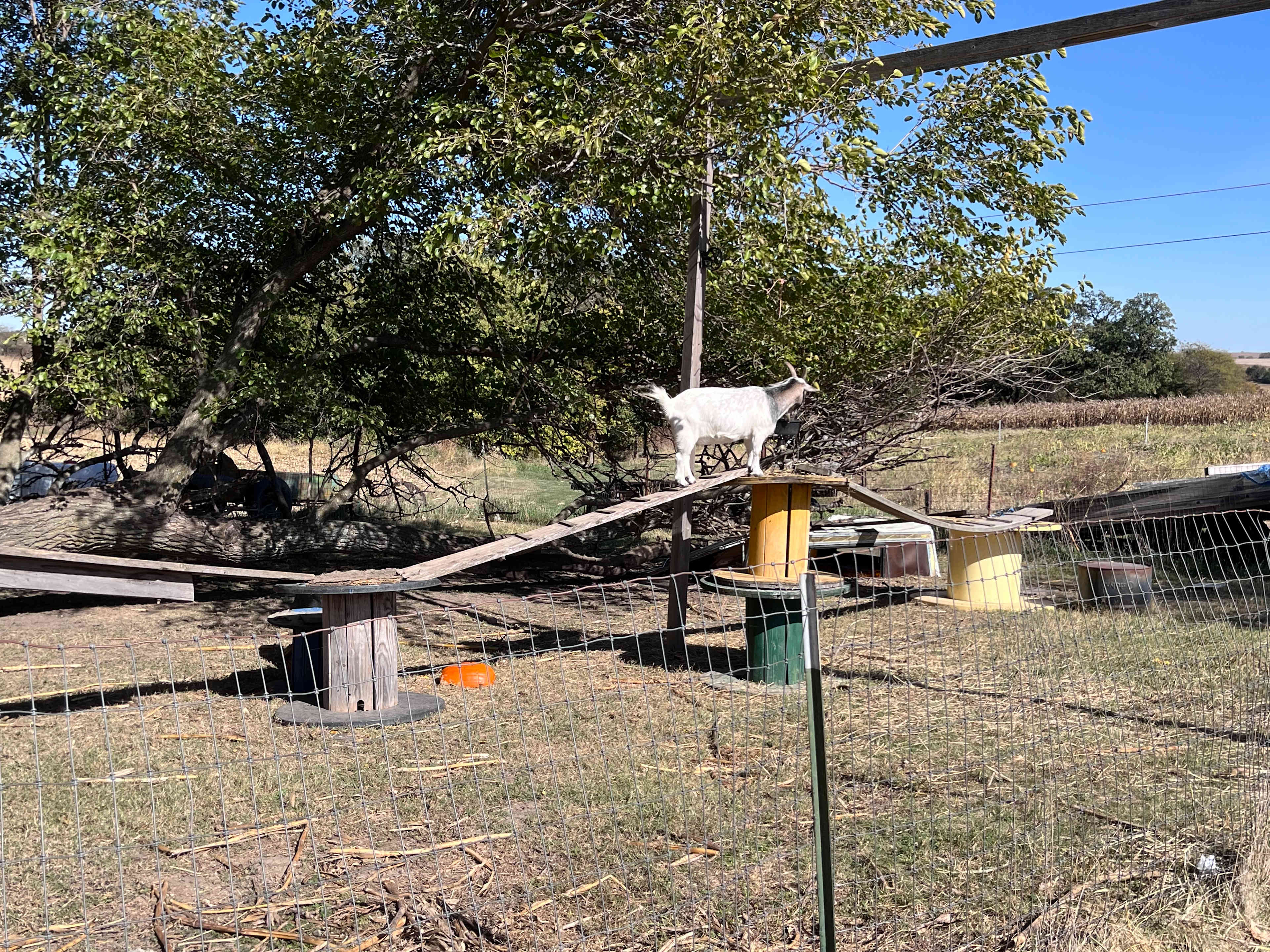 Mulberry Pond Shady RV Sites