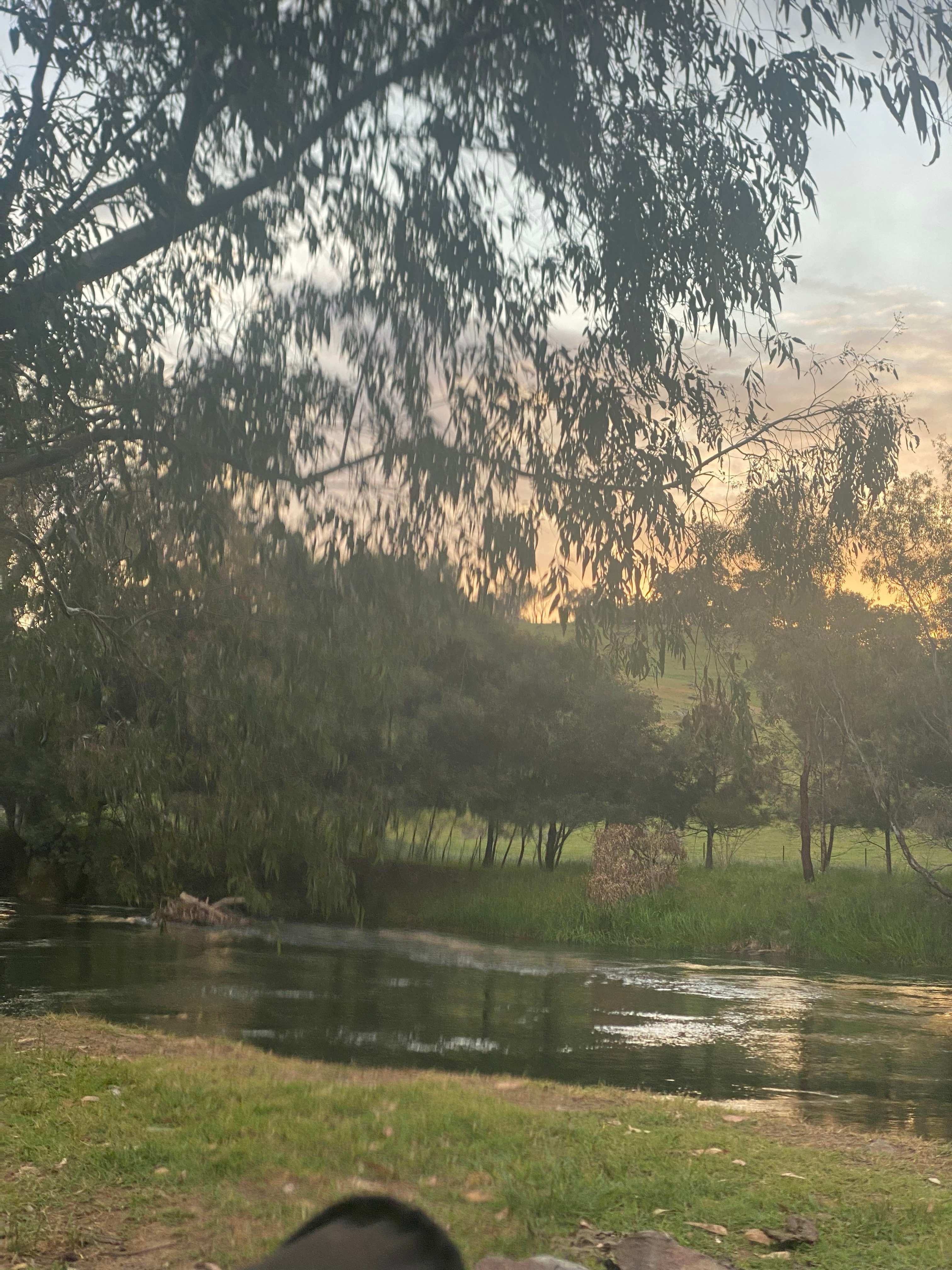 Bahwidgee on Tumut River
