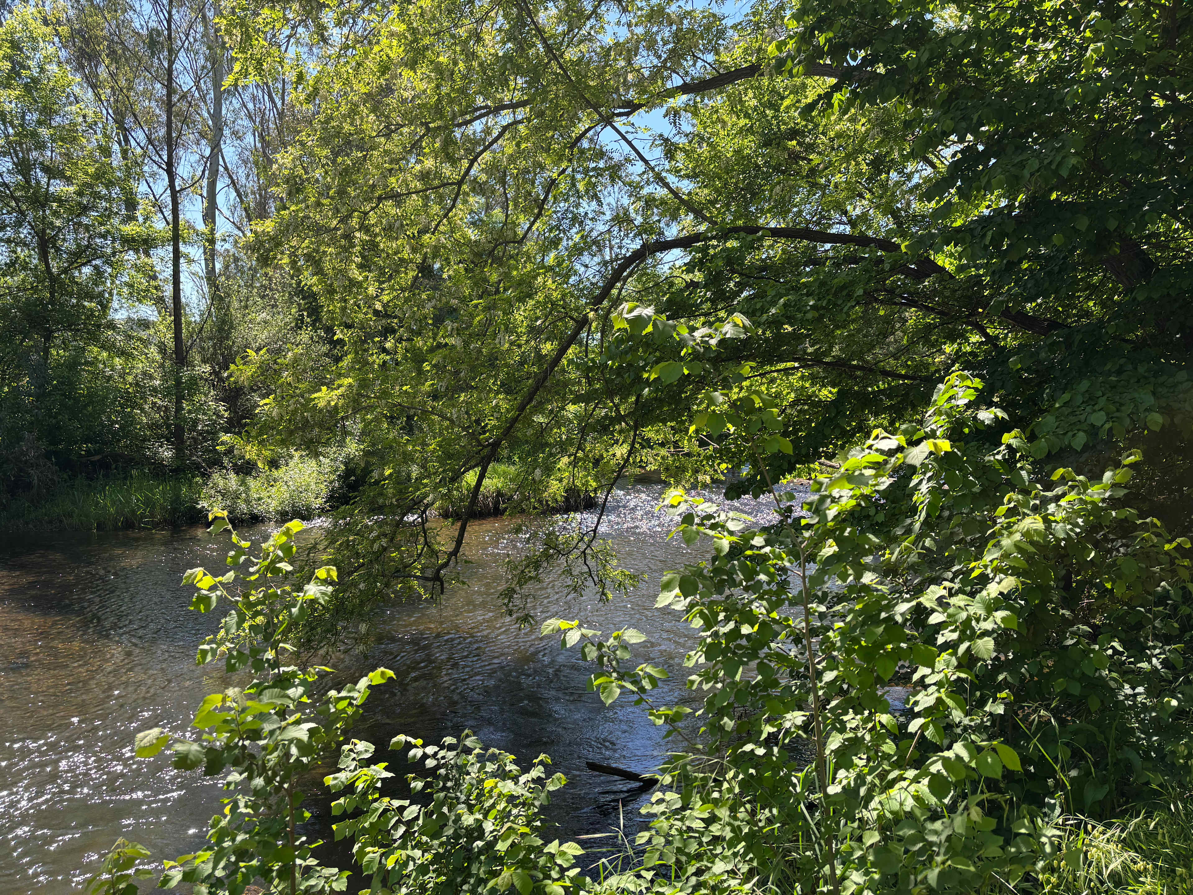 Riverside King Valley