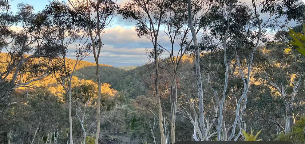 view of the nature resever from a walk taken in the area.