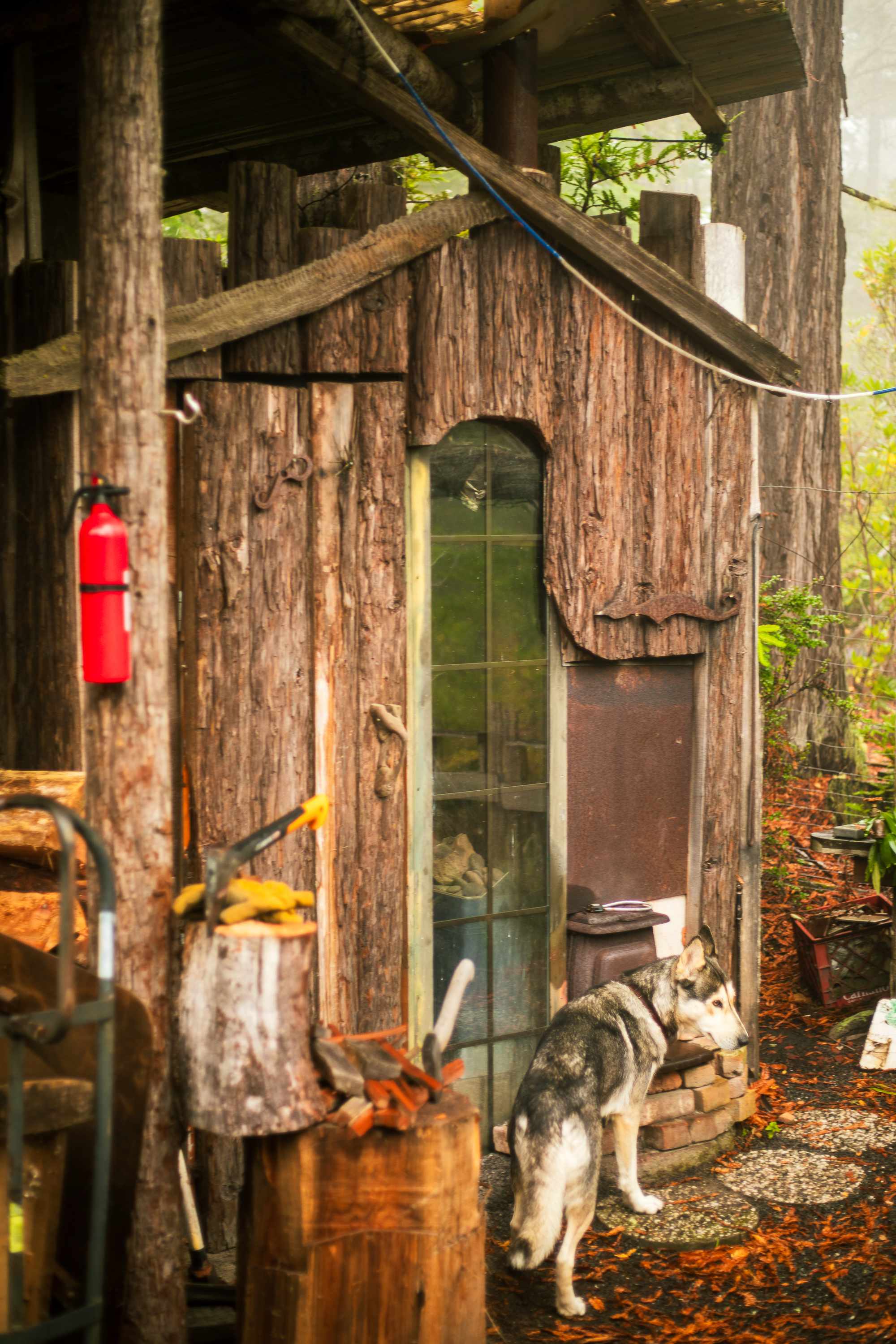 Exterior of the wood-fired sauna