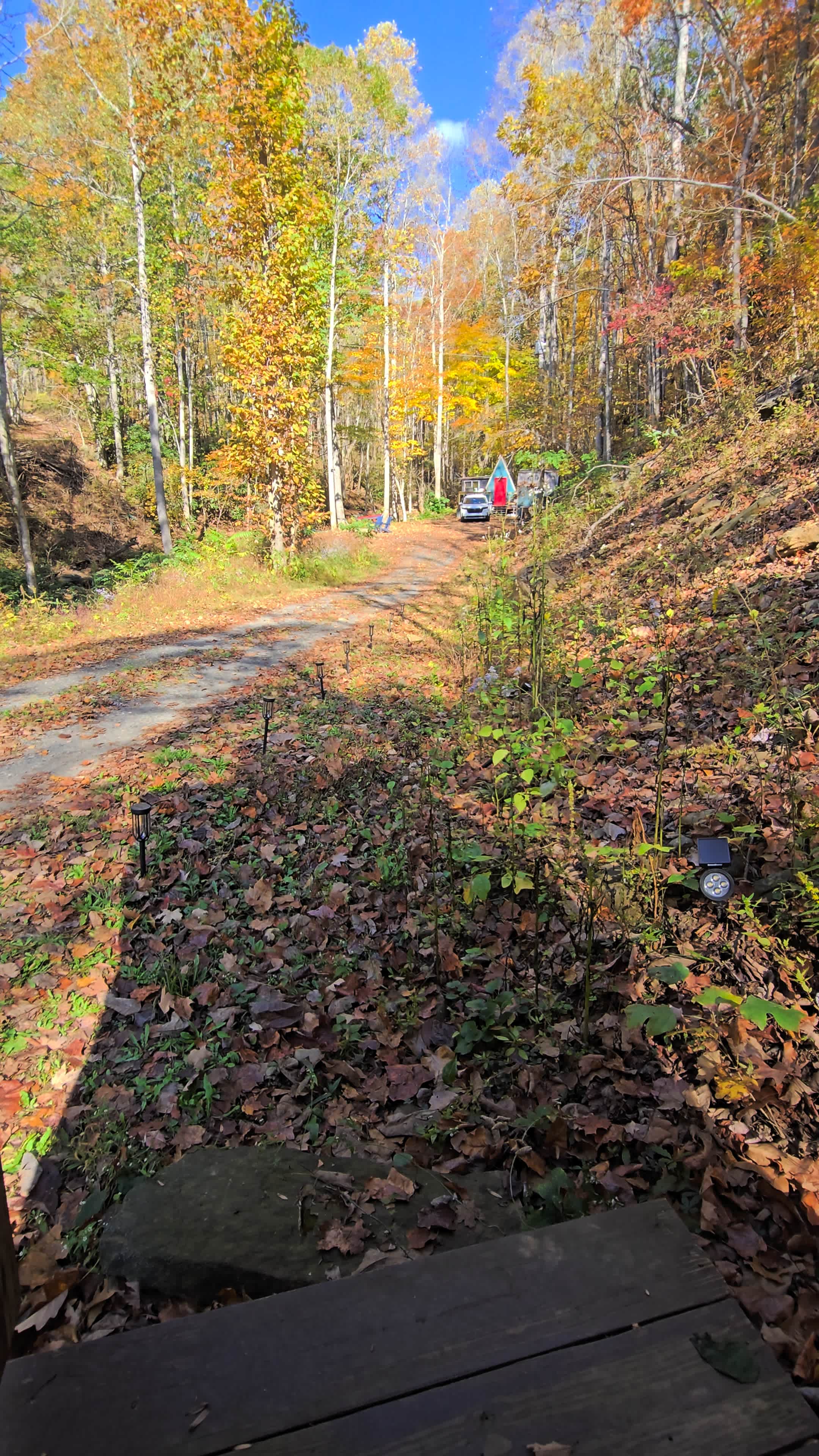 A Tiny A-Frame 15 acres creek front