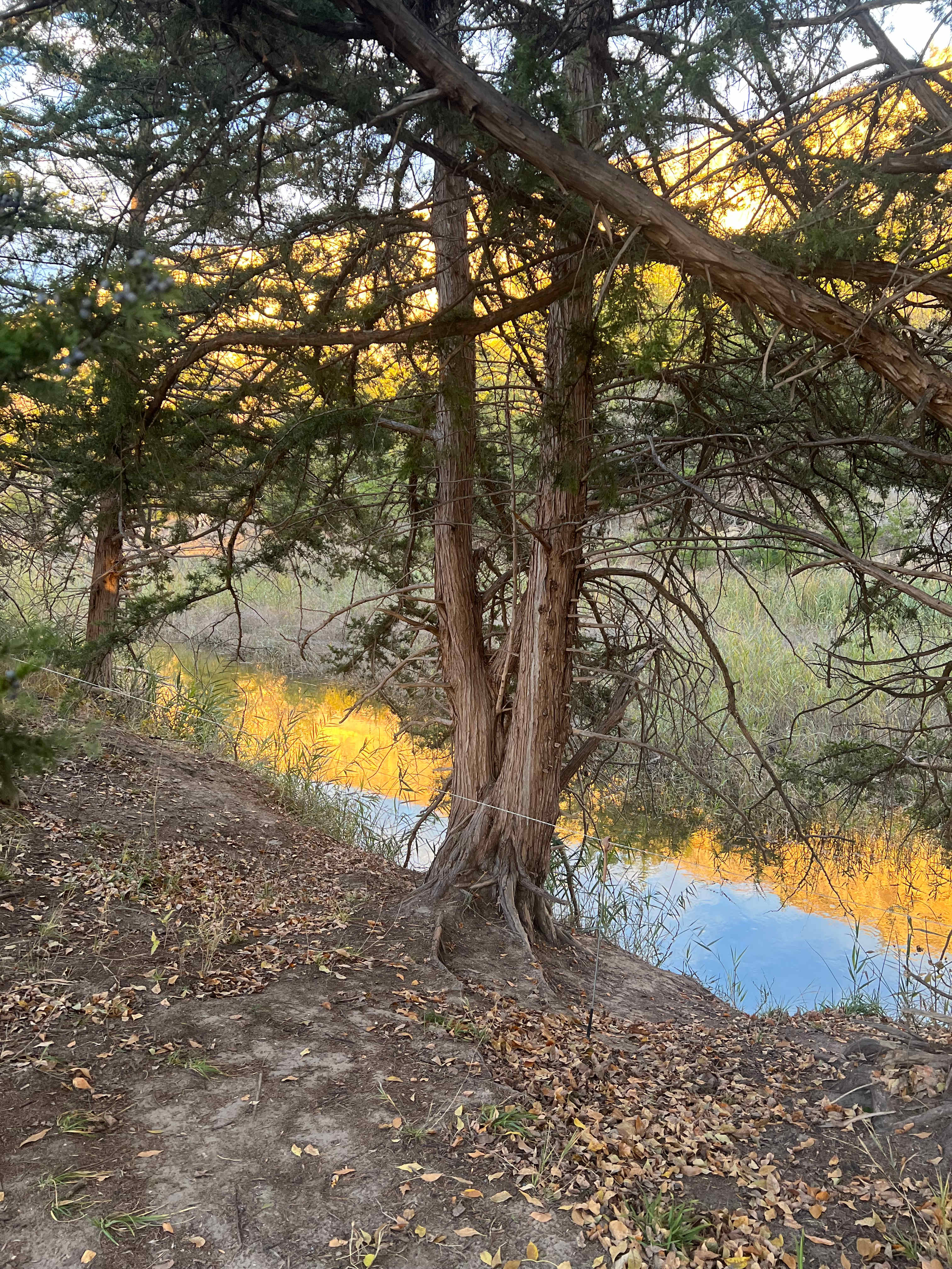 C2T Ranch on the Saline River