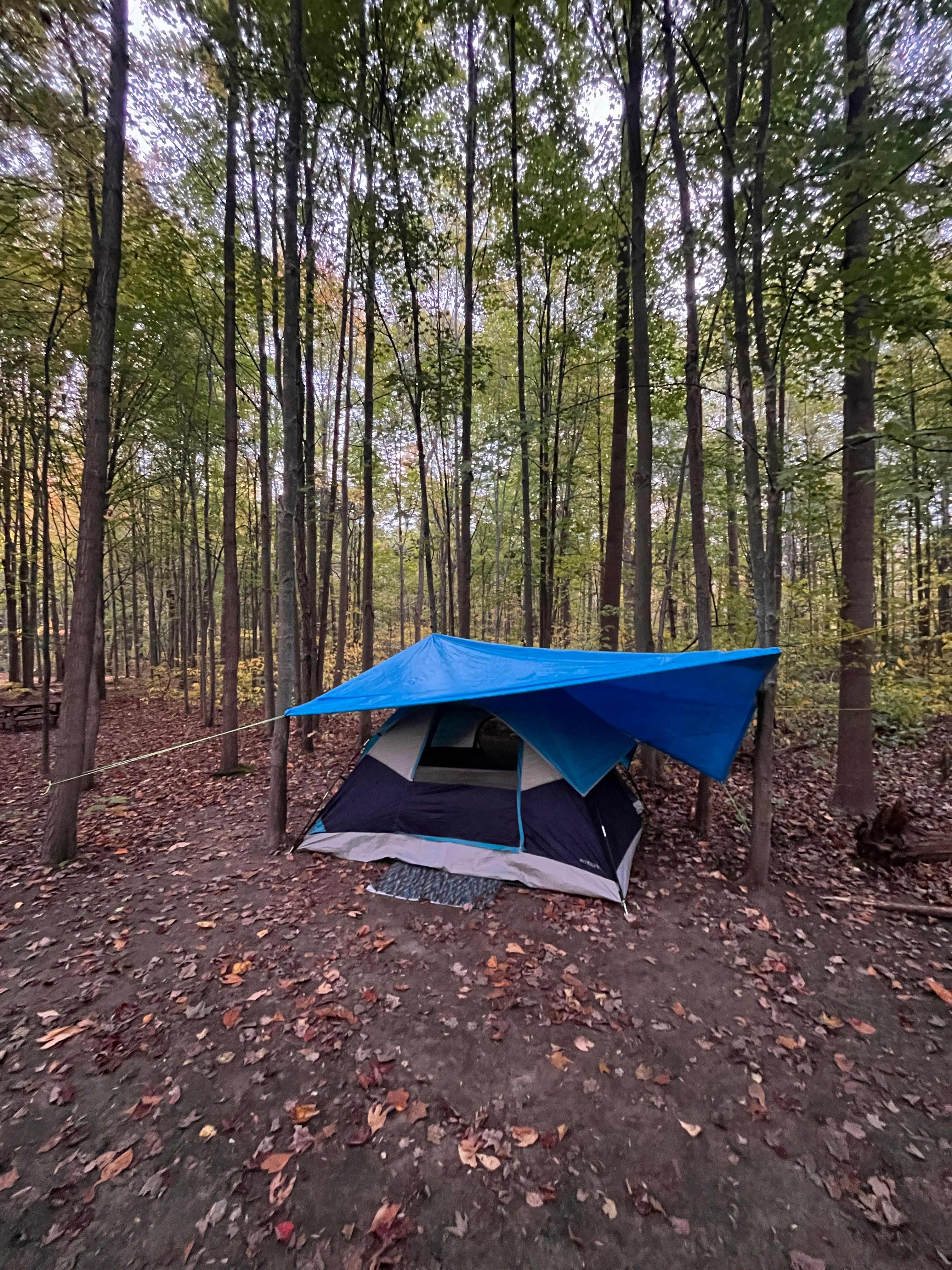 Campit Outdoor Resort