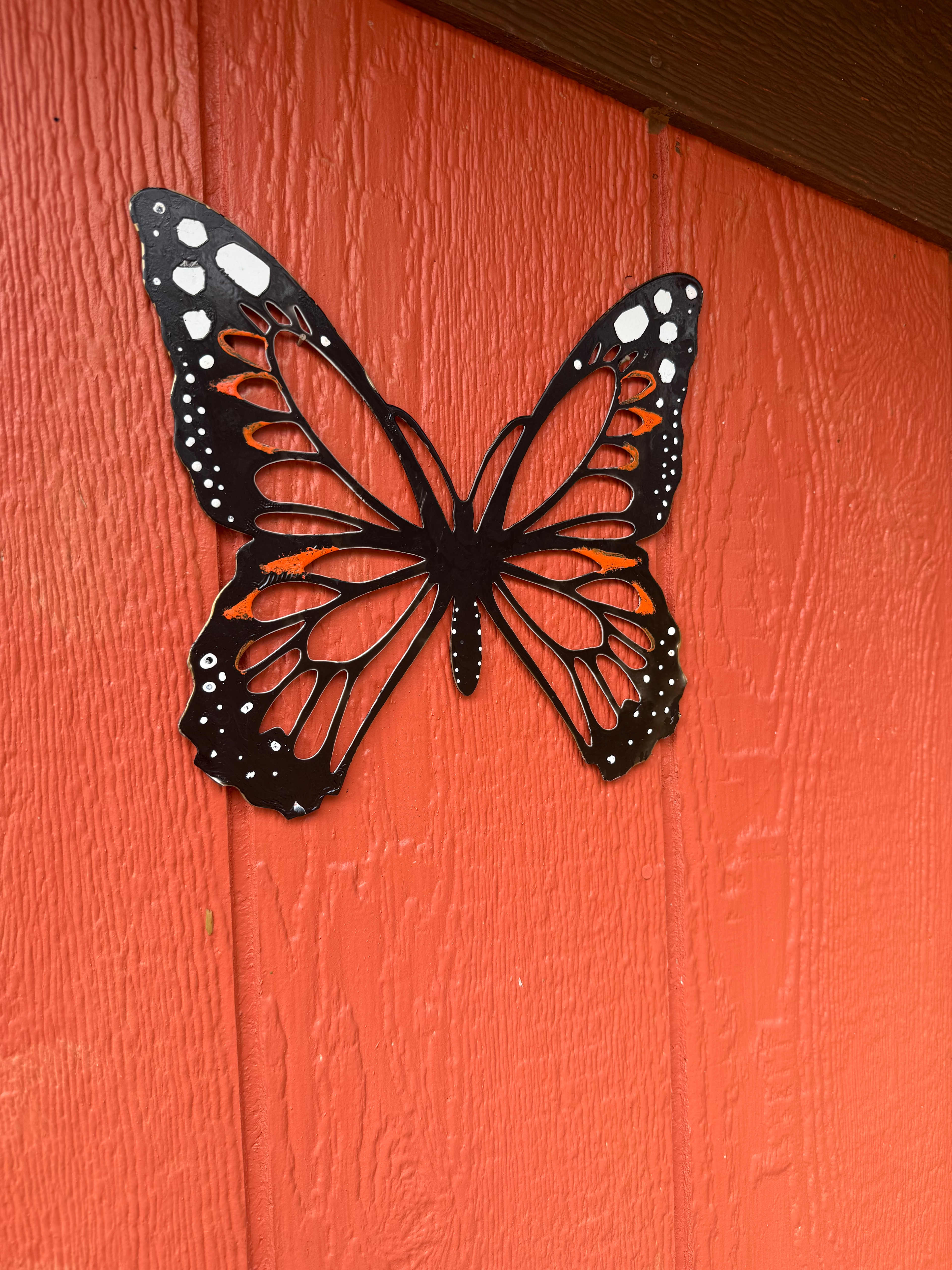 Simplicity @Top Of The Hill Huskies