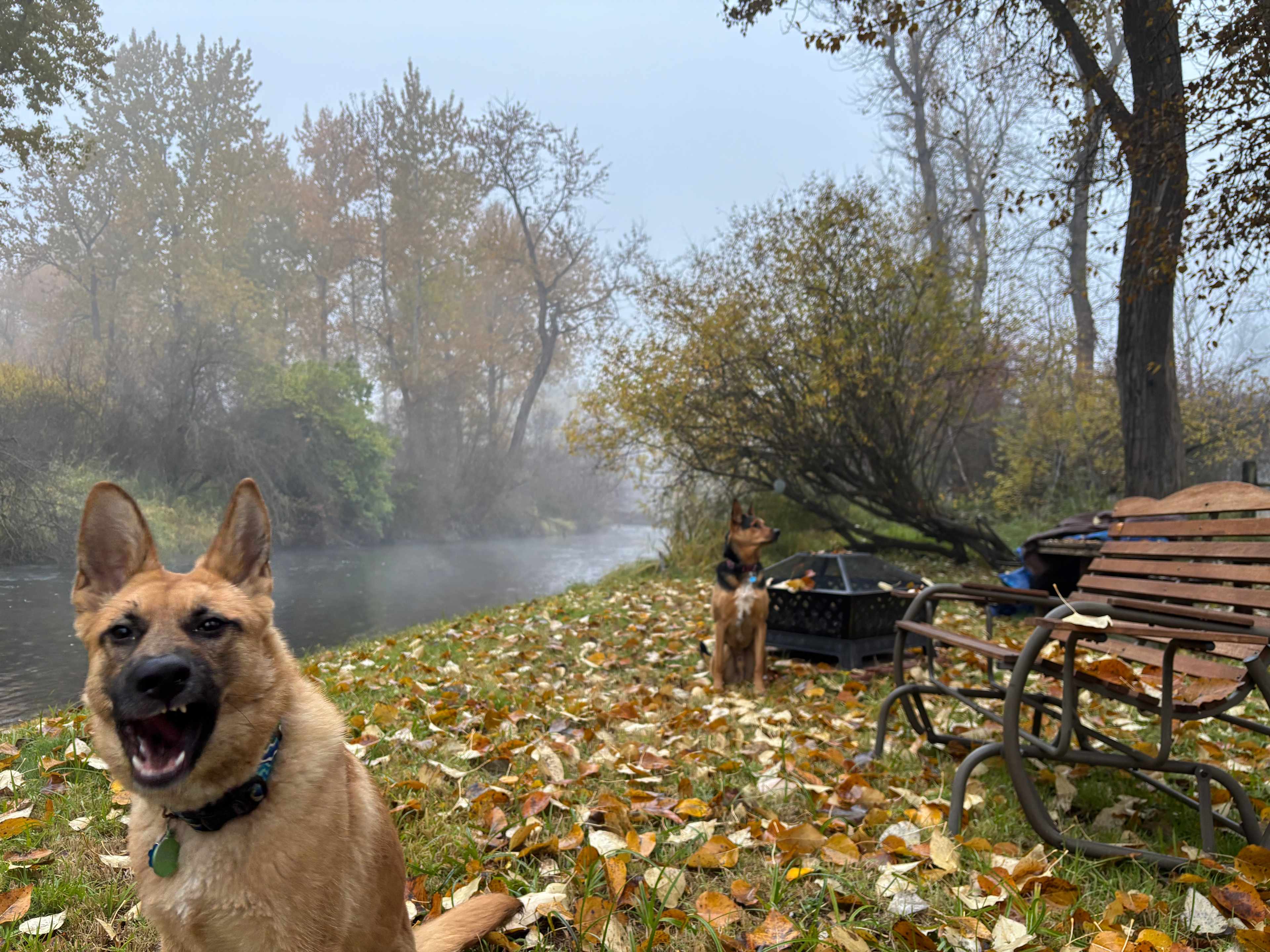 Little Spokane Riverside Retreat