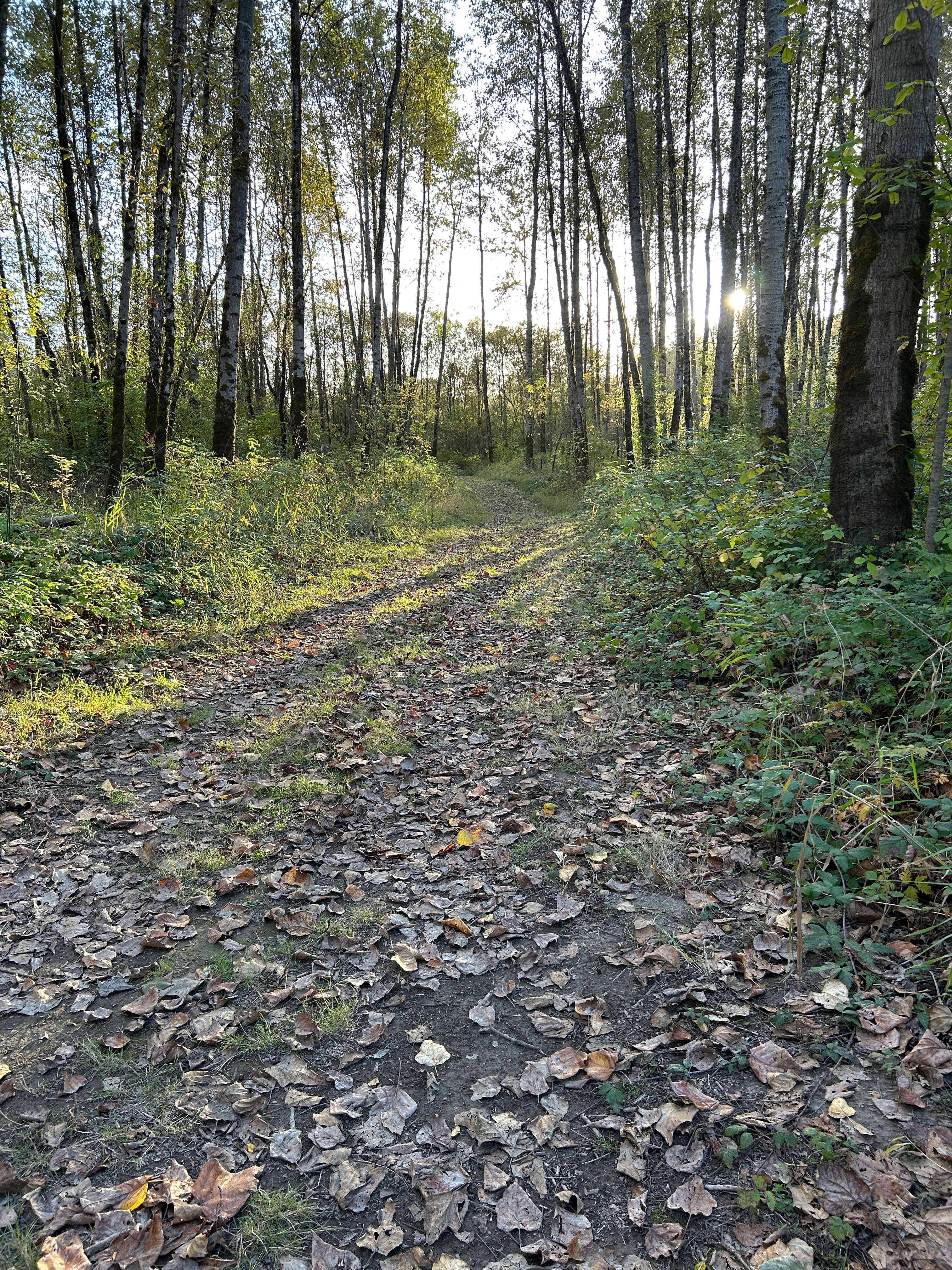 J Squared River Ranch