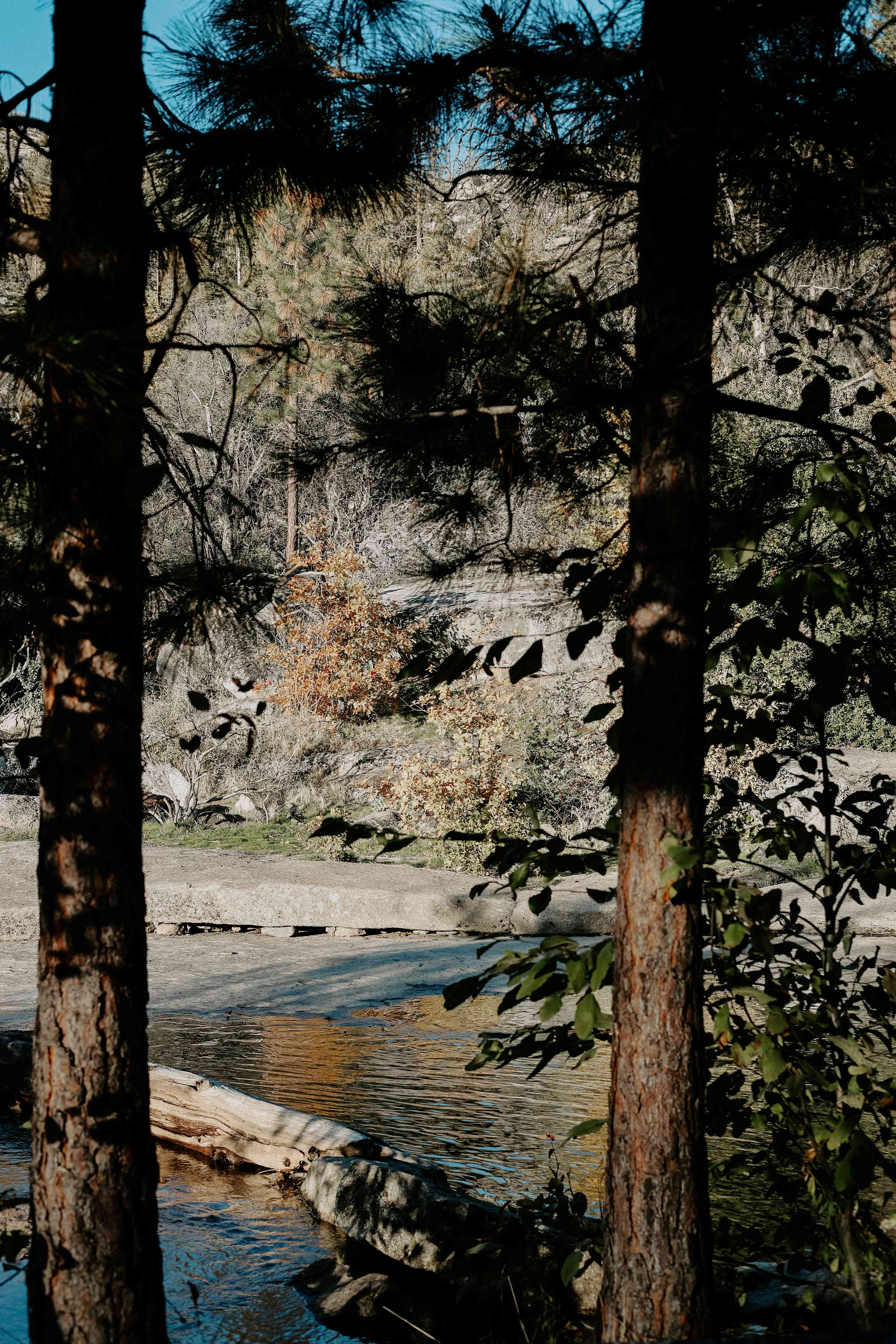 Musick Creek Falls by Shaver Lake