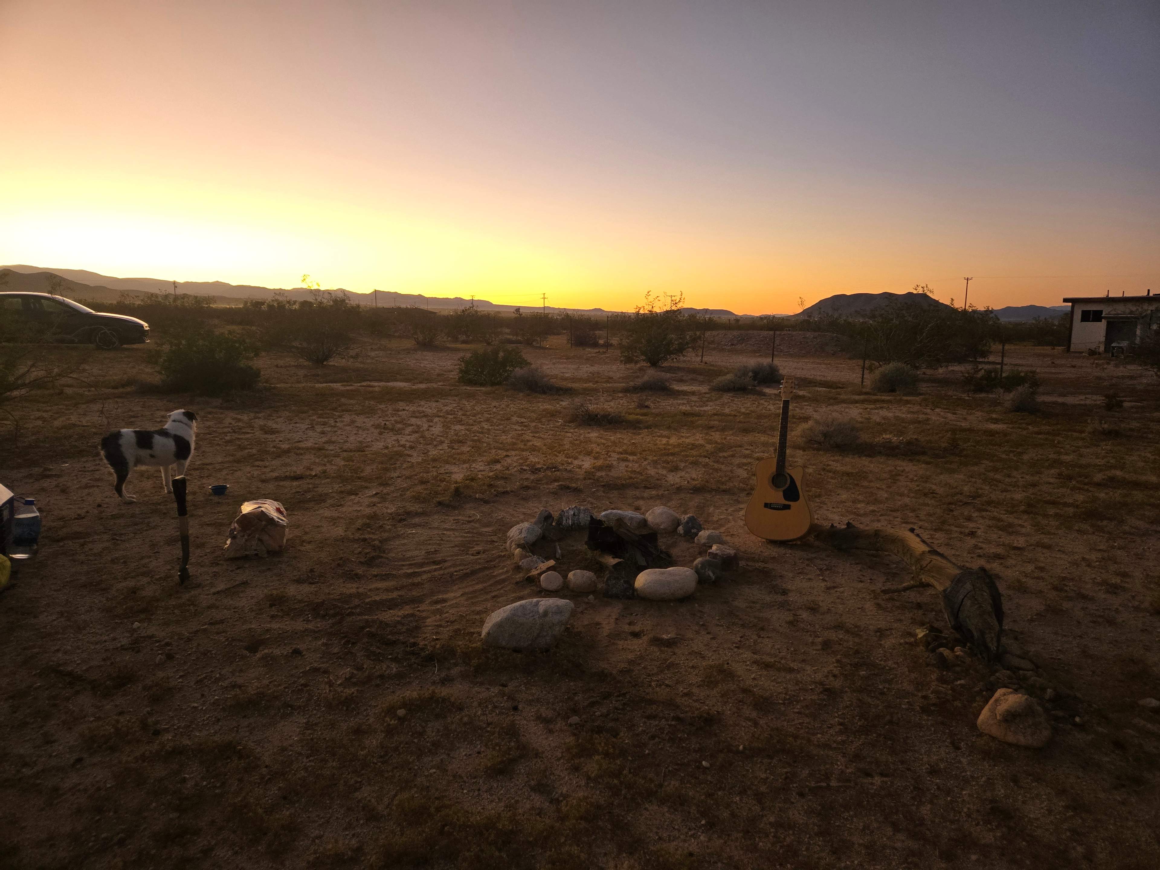 Picture of the site