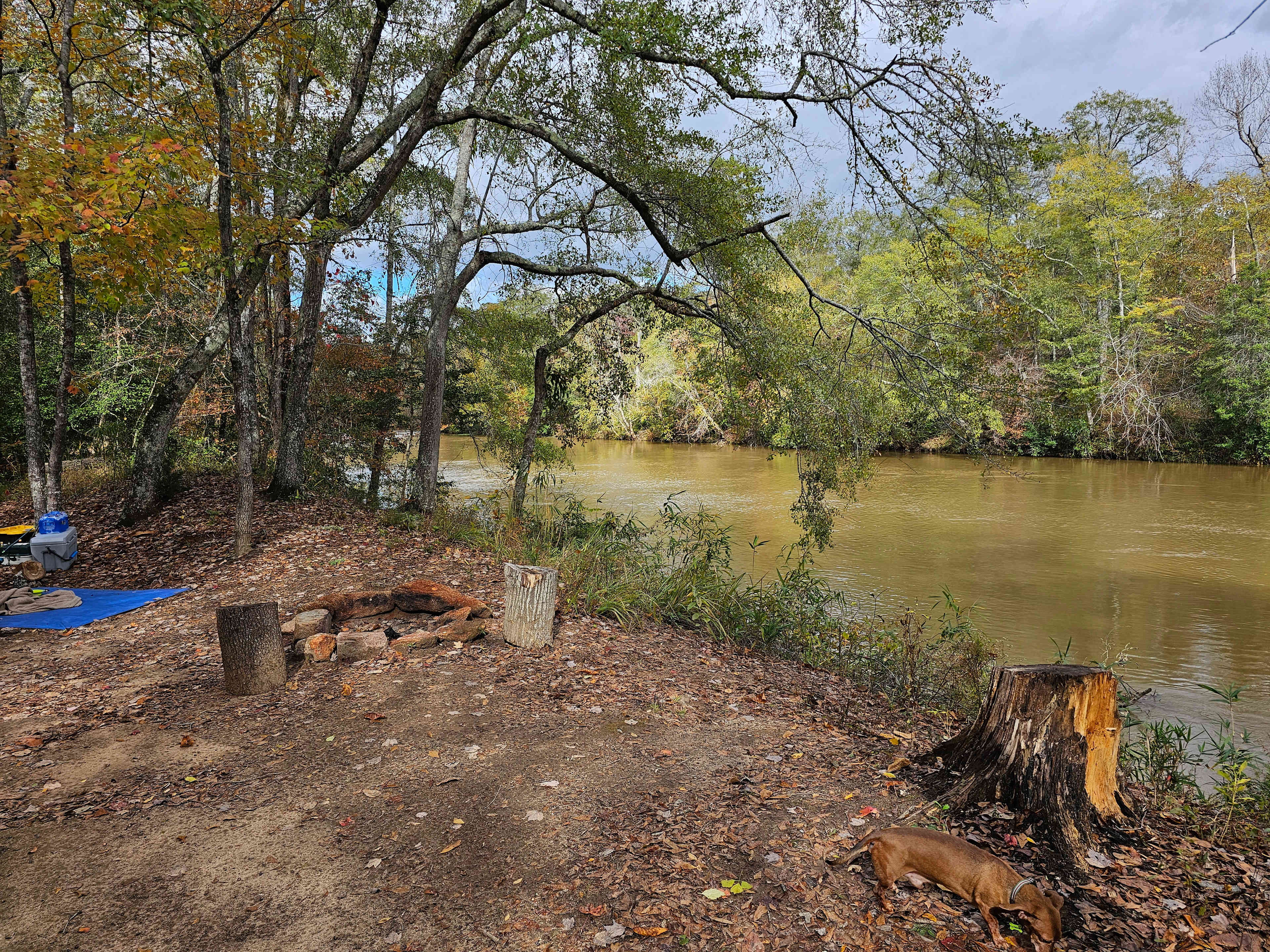 Serenity on the Saluda