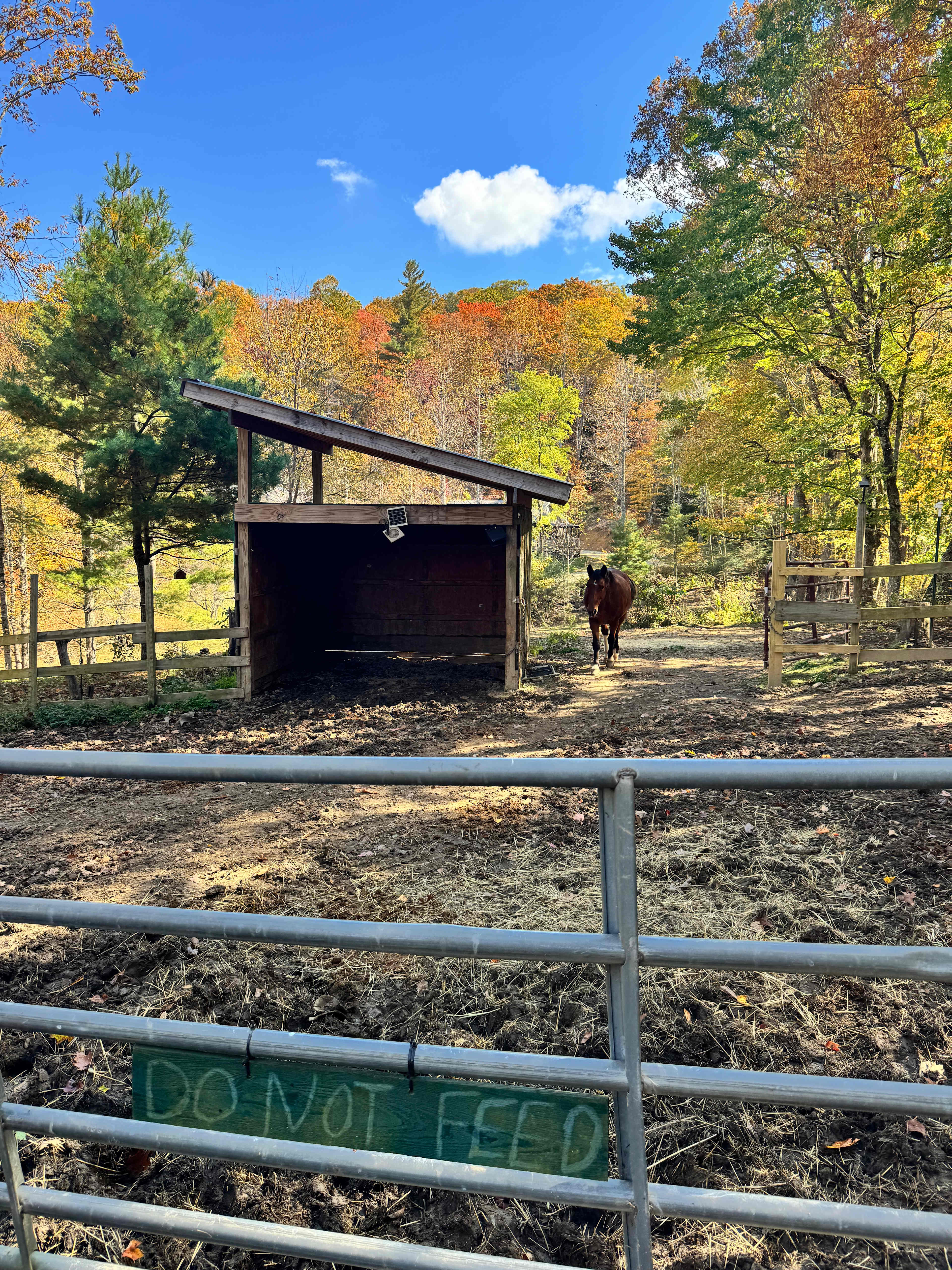 Campgrounds at Little Switzerland
