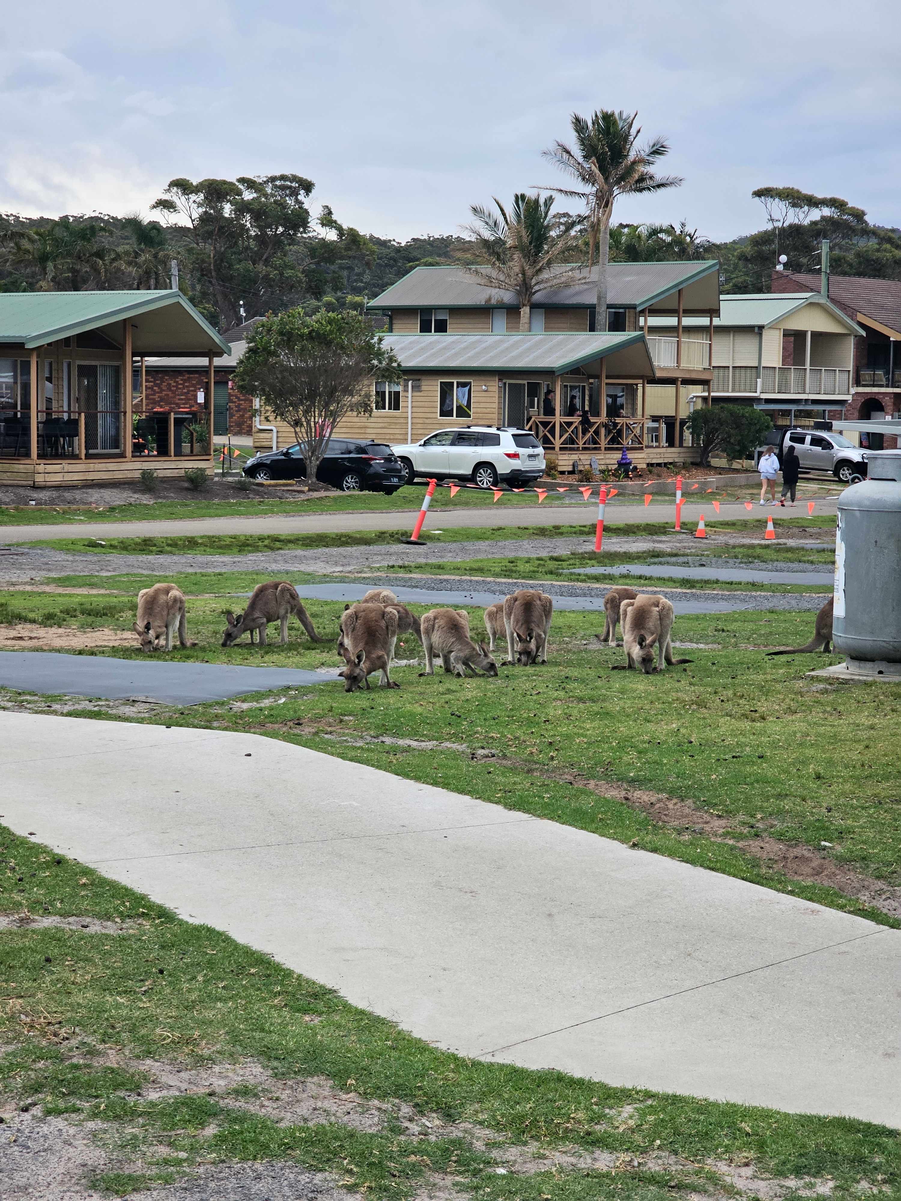Ingenia Holidays Merry Beach