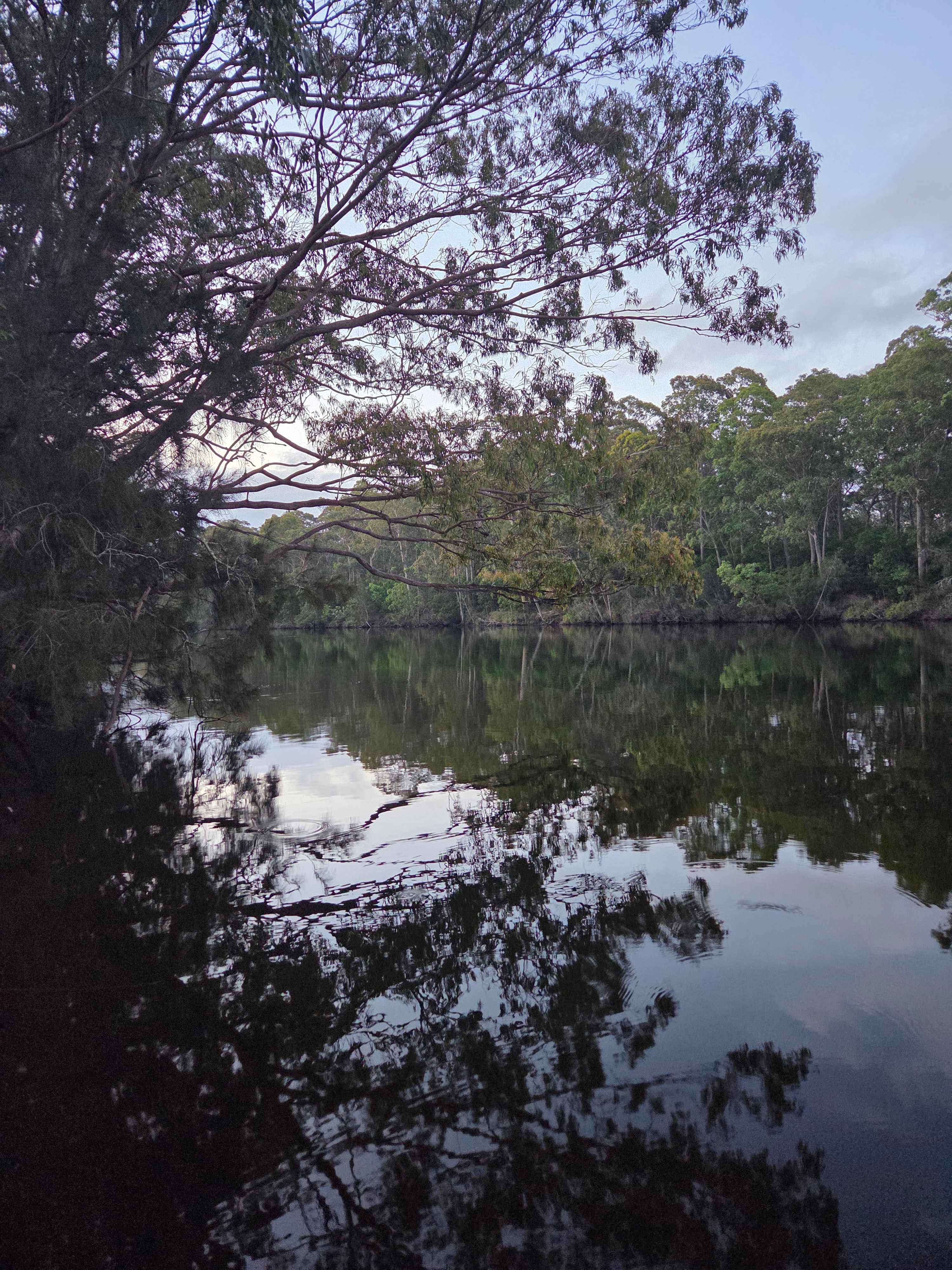 Babbling Brook 4WD Camping