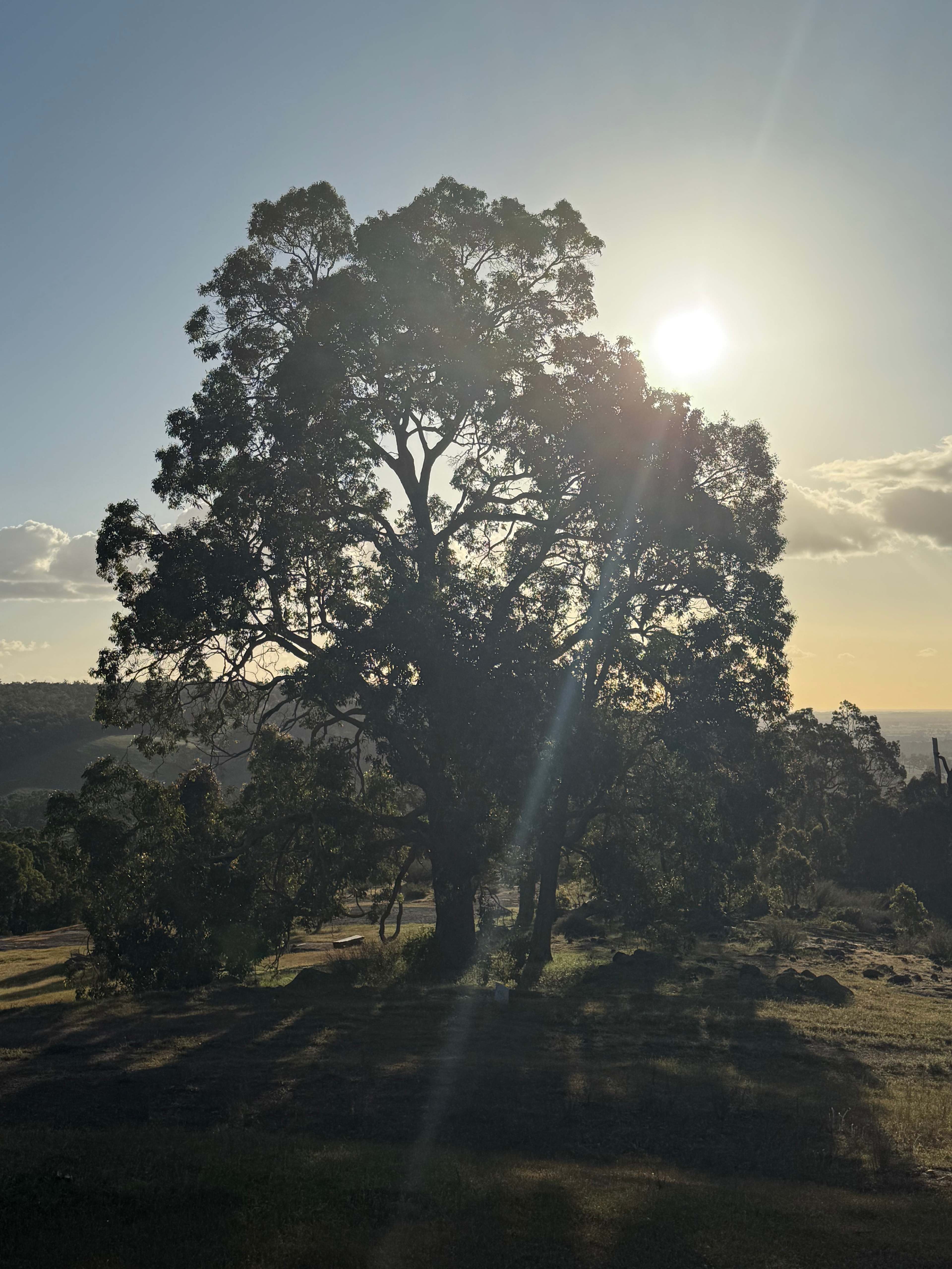 The Sanctuary Bush Retreat