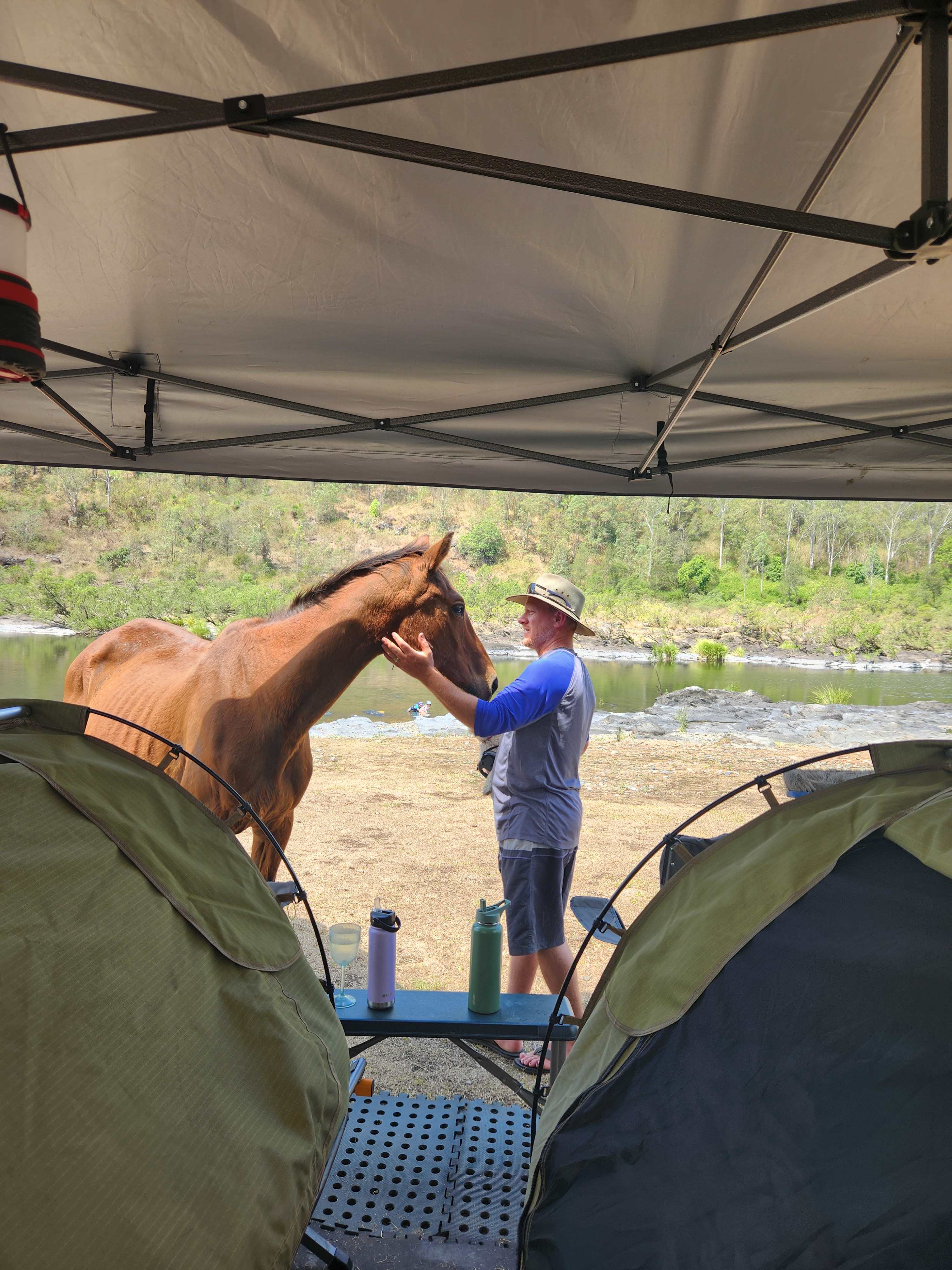 Very friendly visitor 