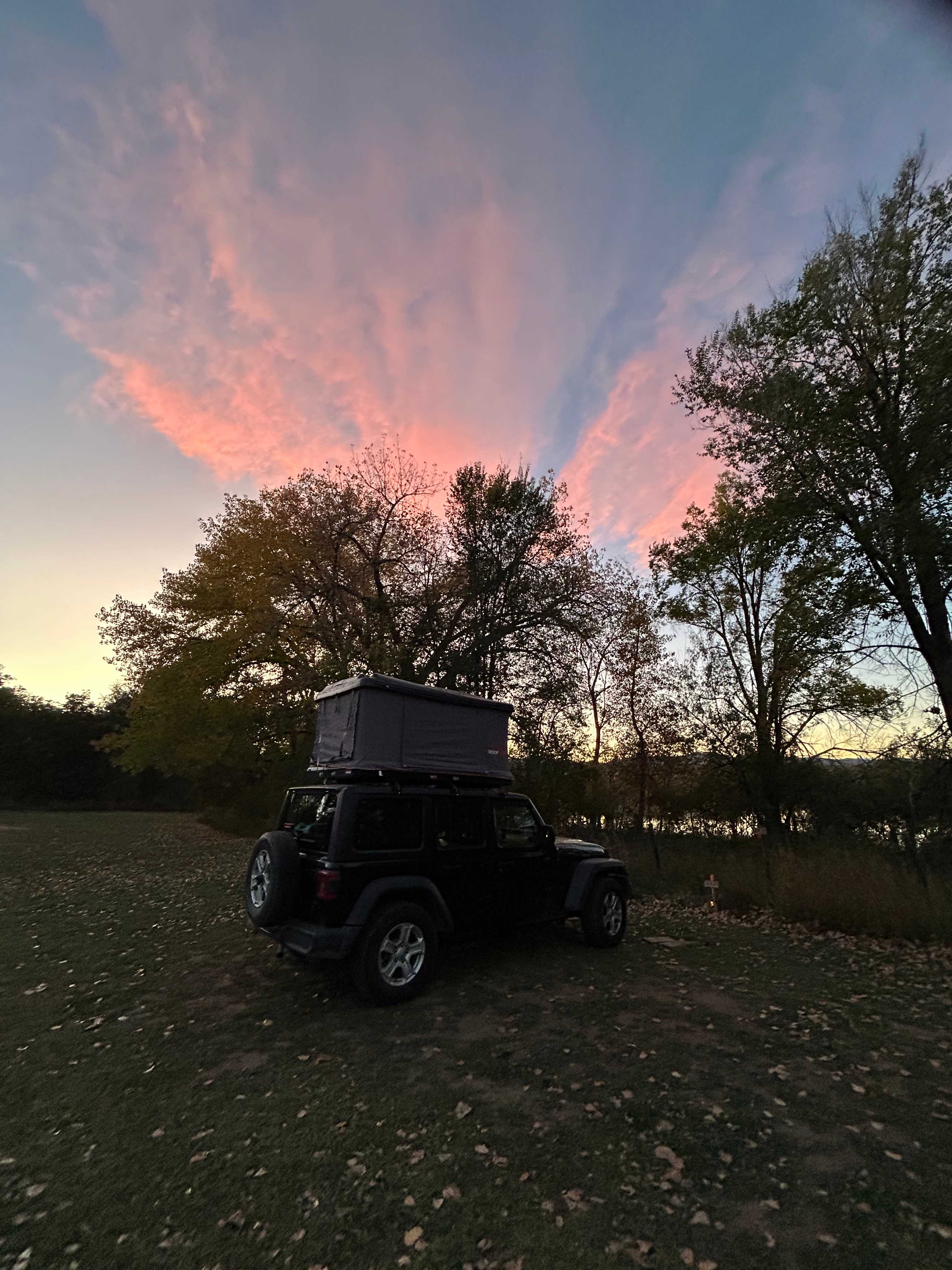 Boulder Chicken Ranch