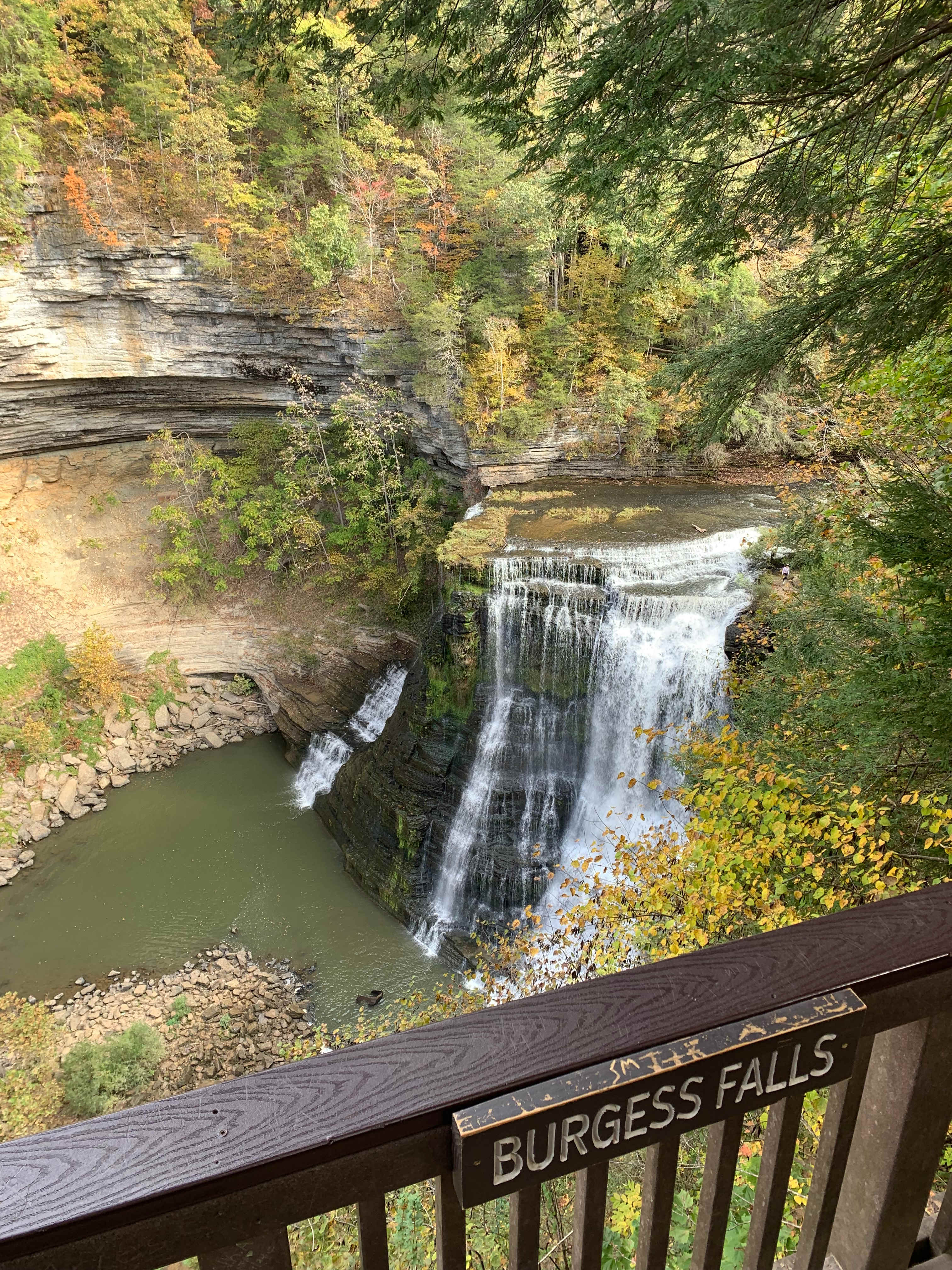 Belle and Beau Acres