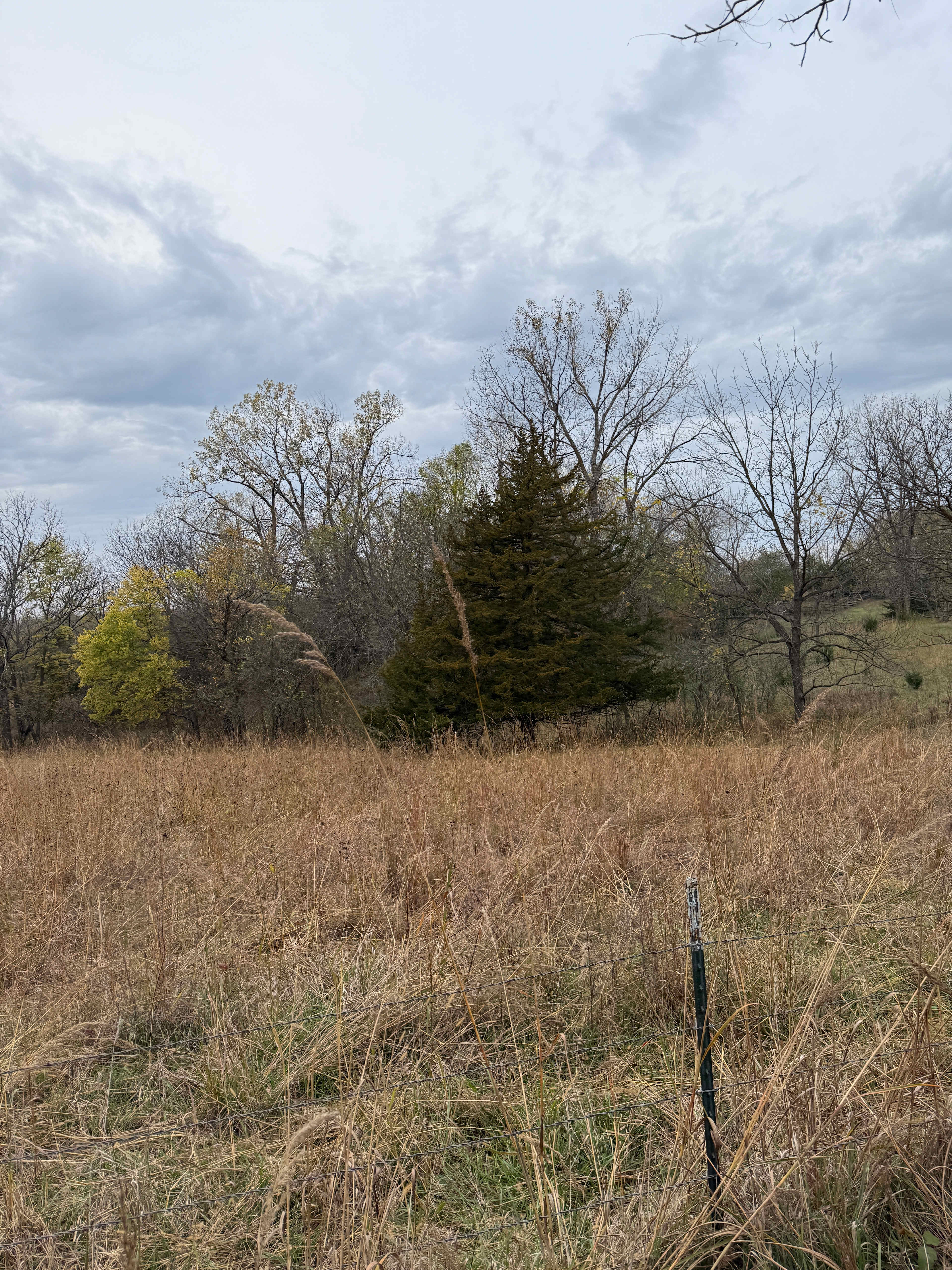 View from our camp site looking west 