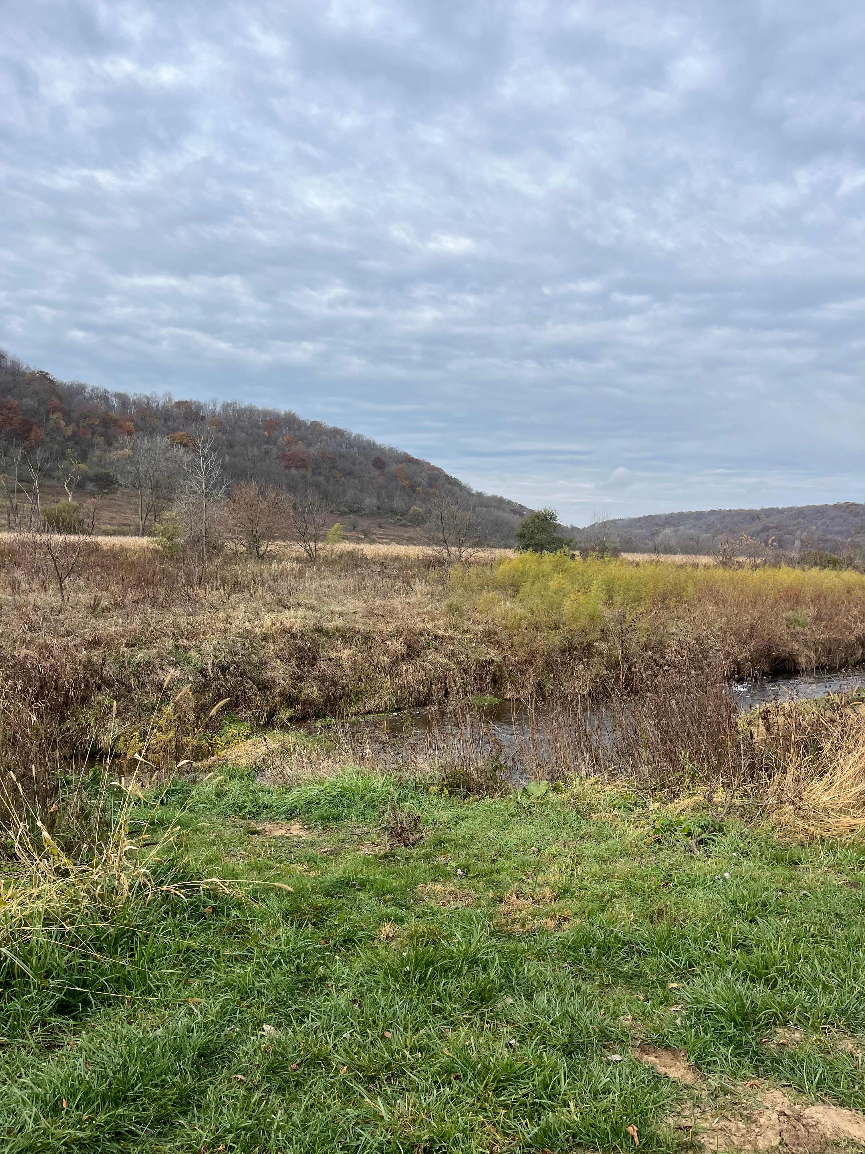 West Fork Sports Club