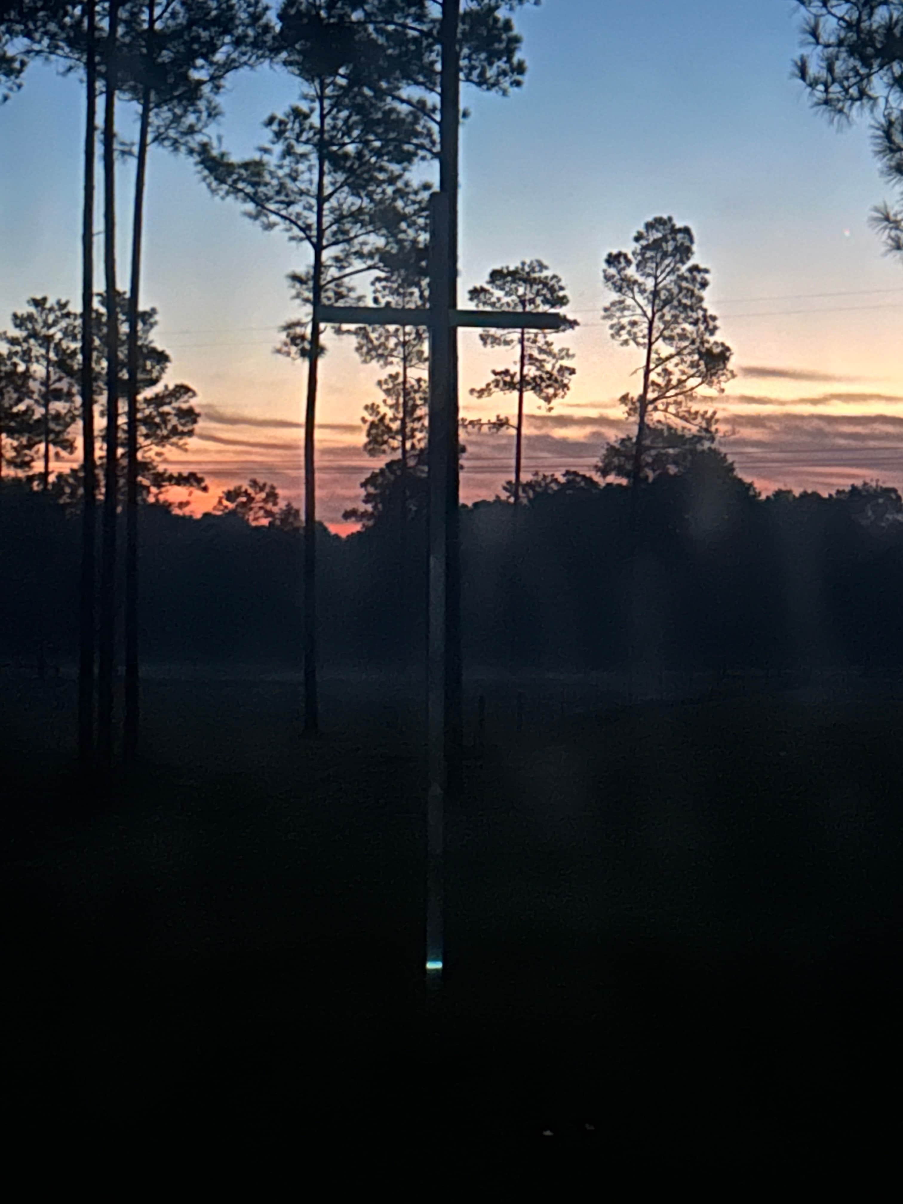 View from our morning window🧡