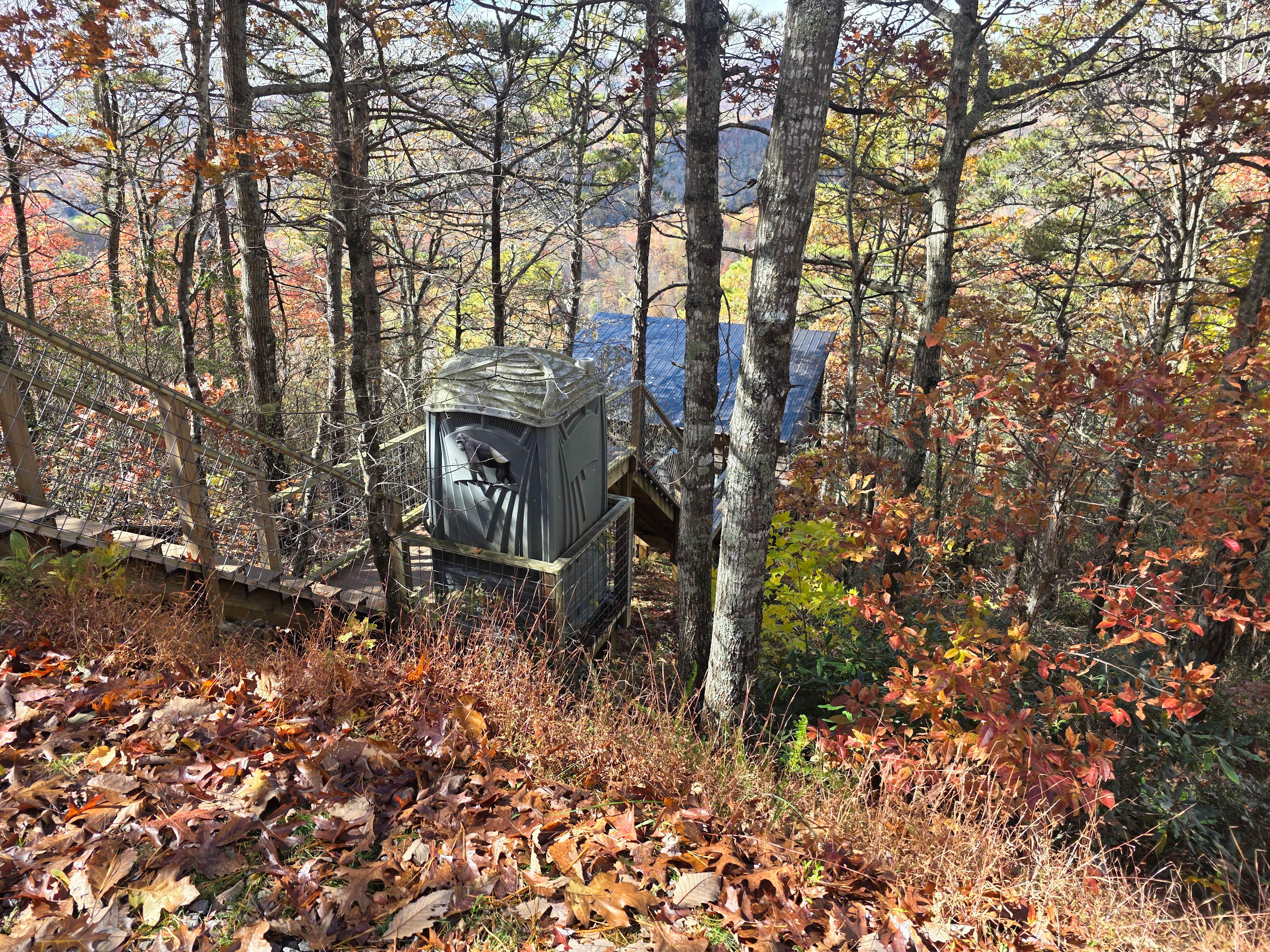 Above the Fray Glamping, Black Mtn.