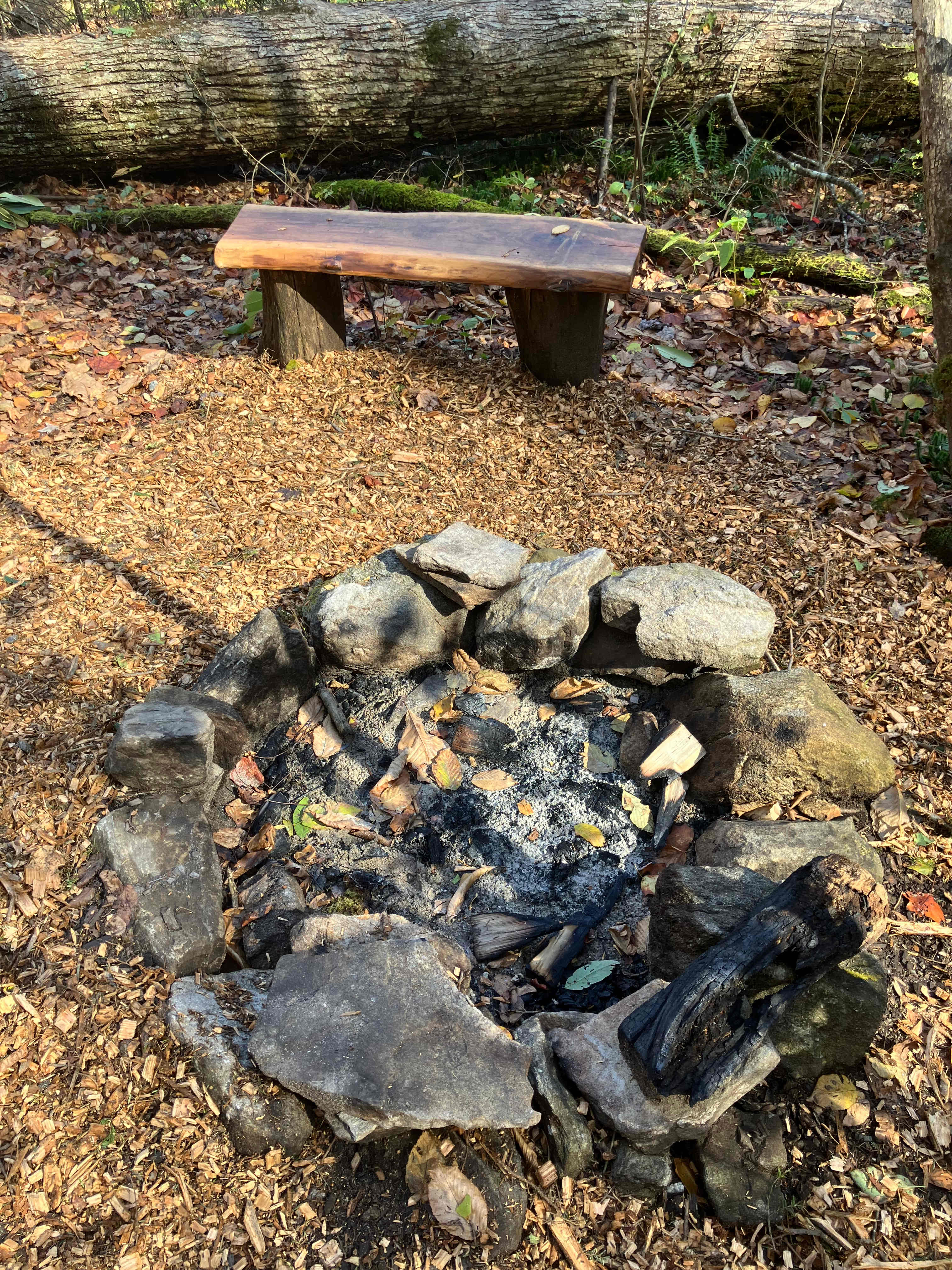 Fire pit