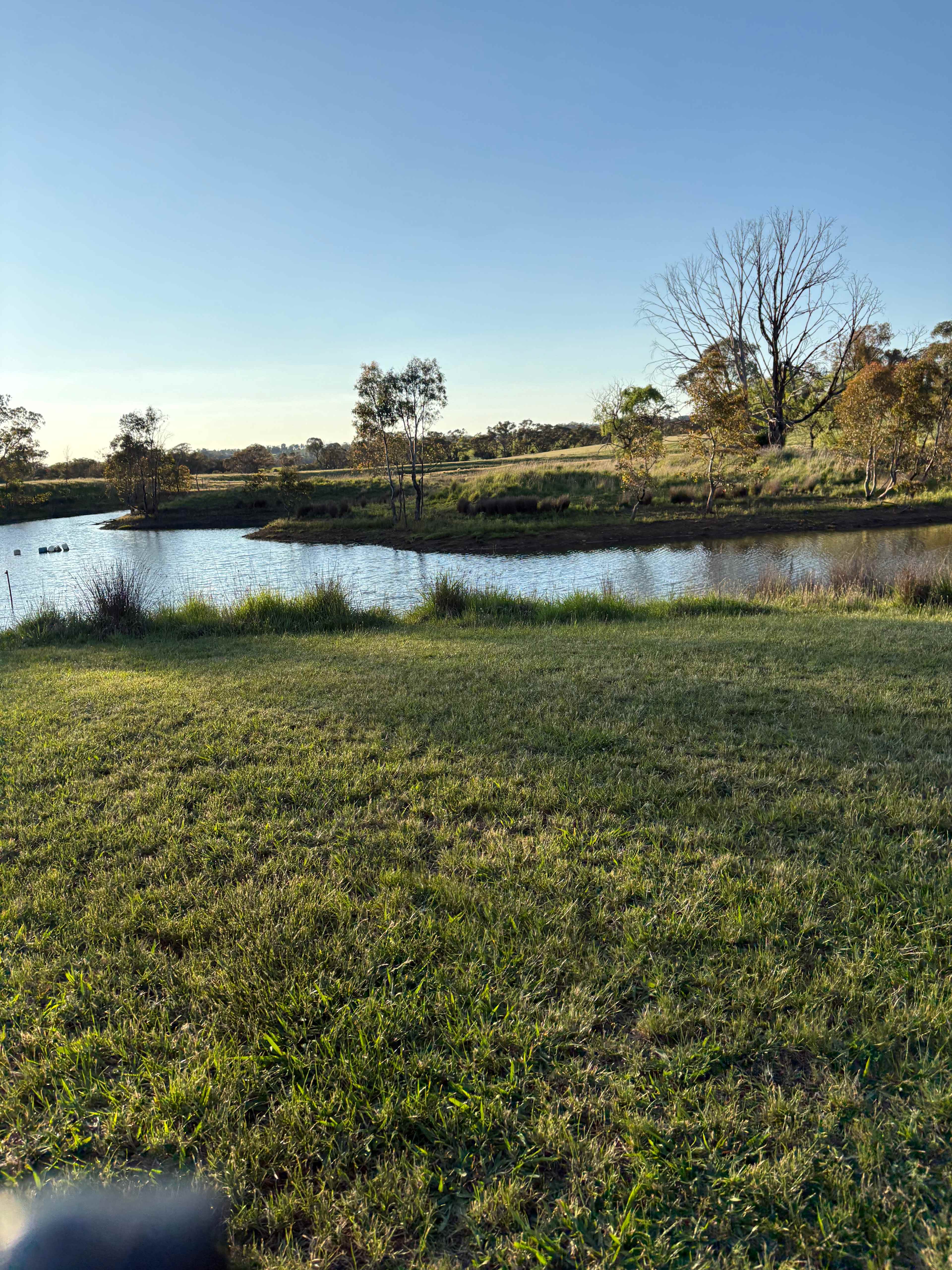 Borenore Billabong Field Days site