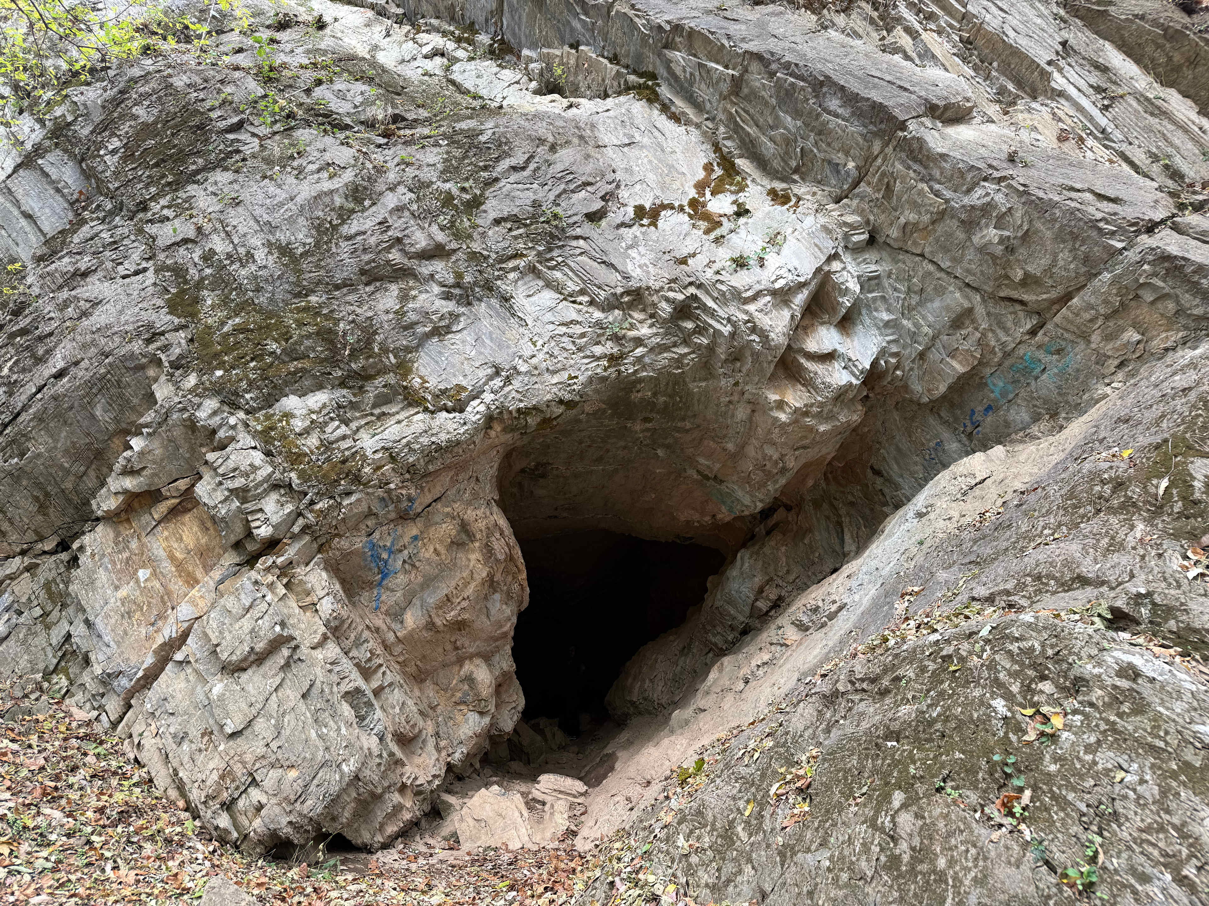 Taylors Landing Camping Club