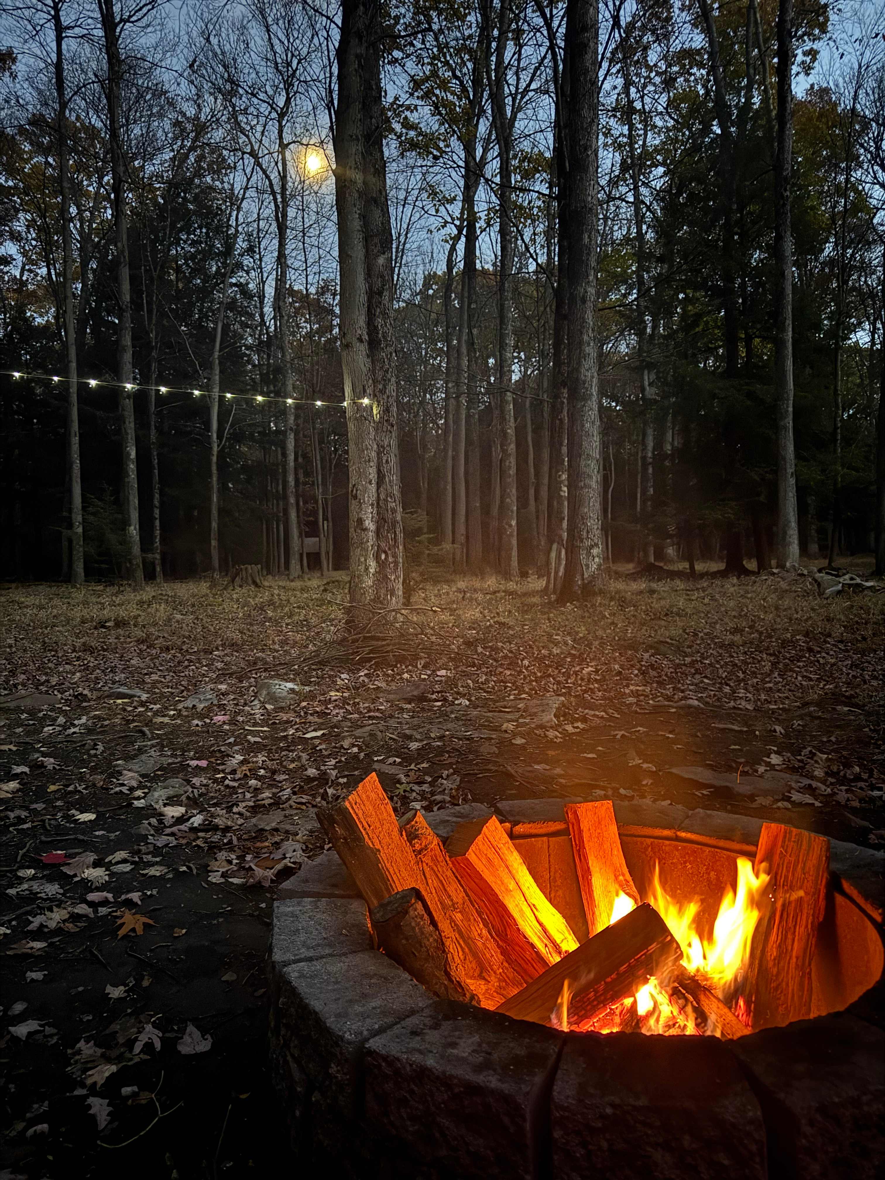 Clear Creek Cook Forest Campsite