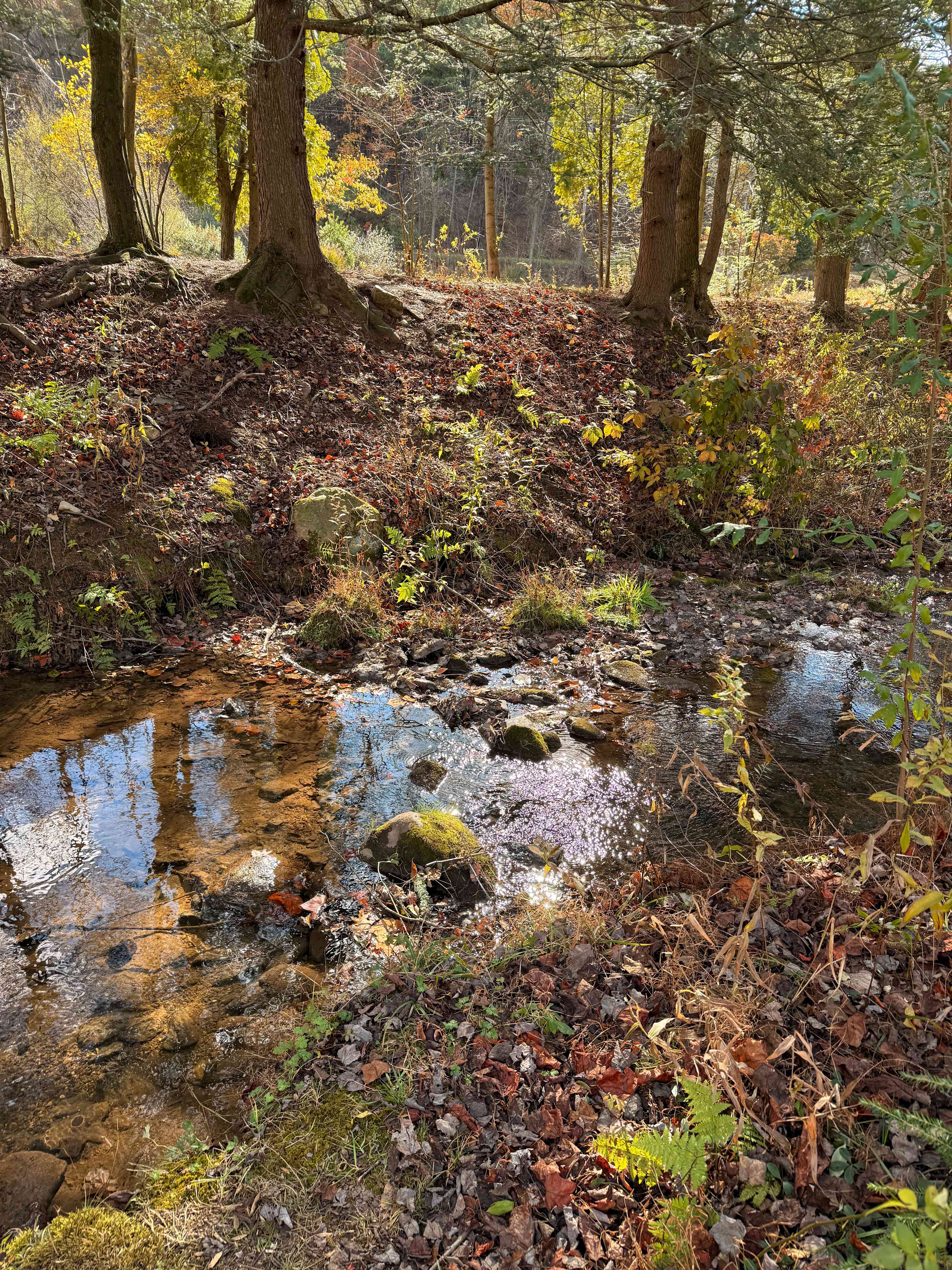 Stonehedge Gardens Holistic Retreat