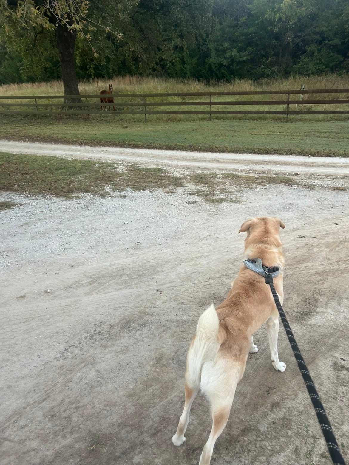 4R Ranch Winery Campsite