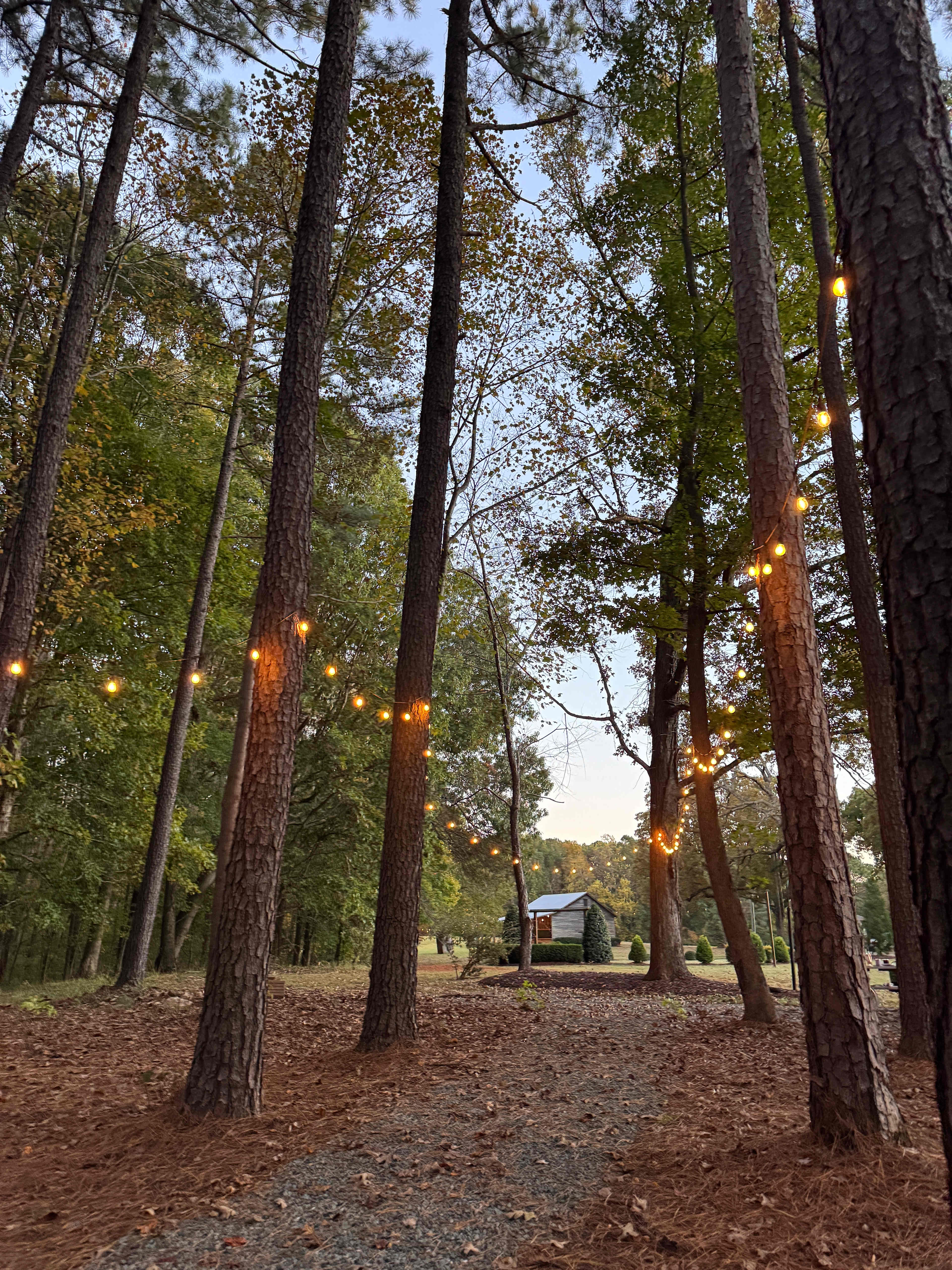 Sugarneck Glamping Resort, NC