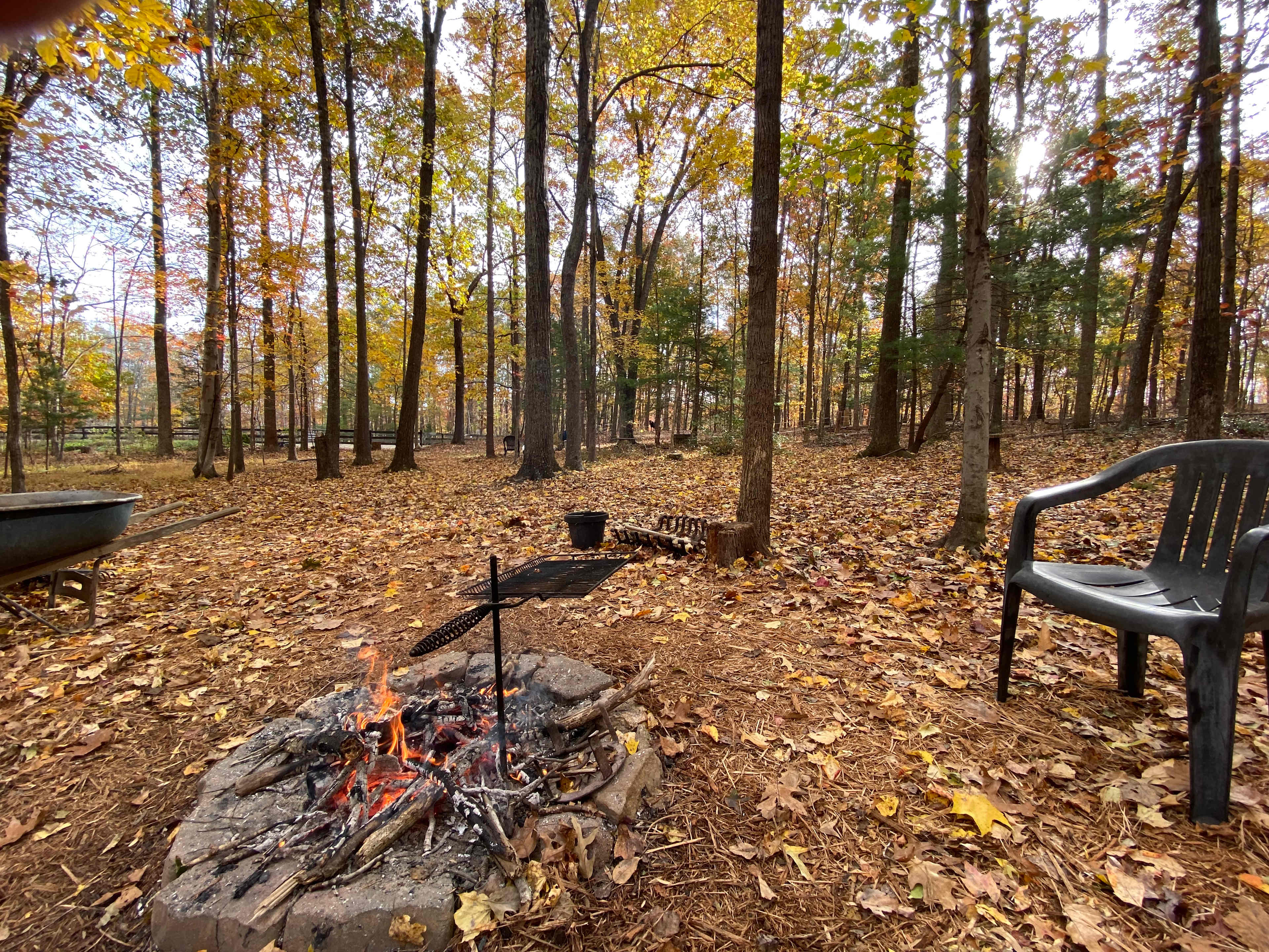 Magic at Galleywinter