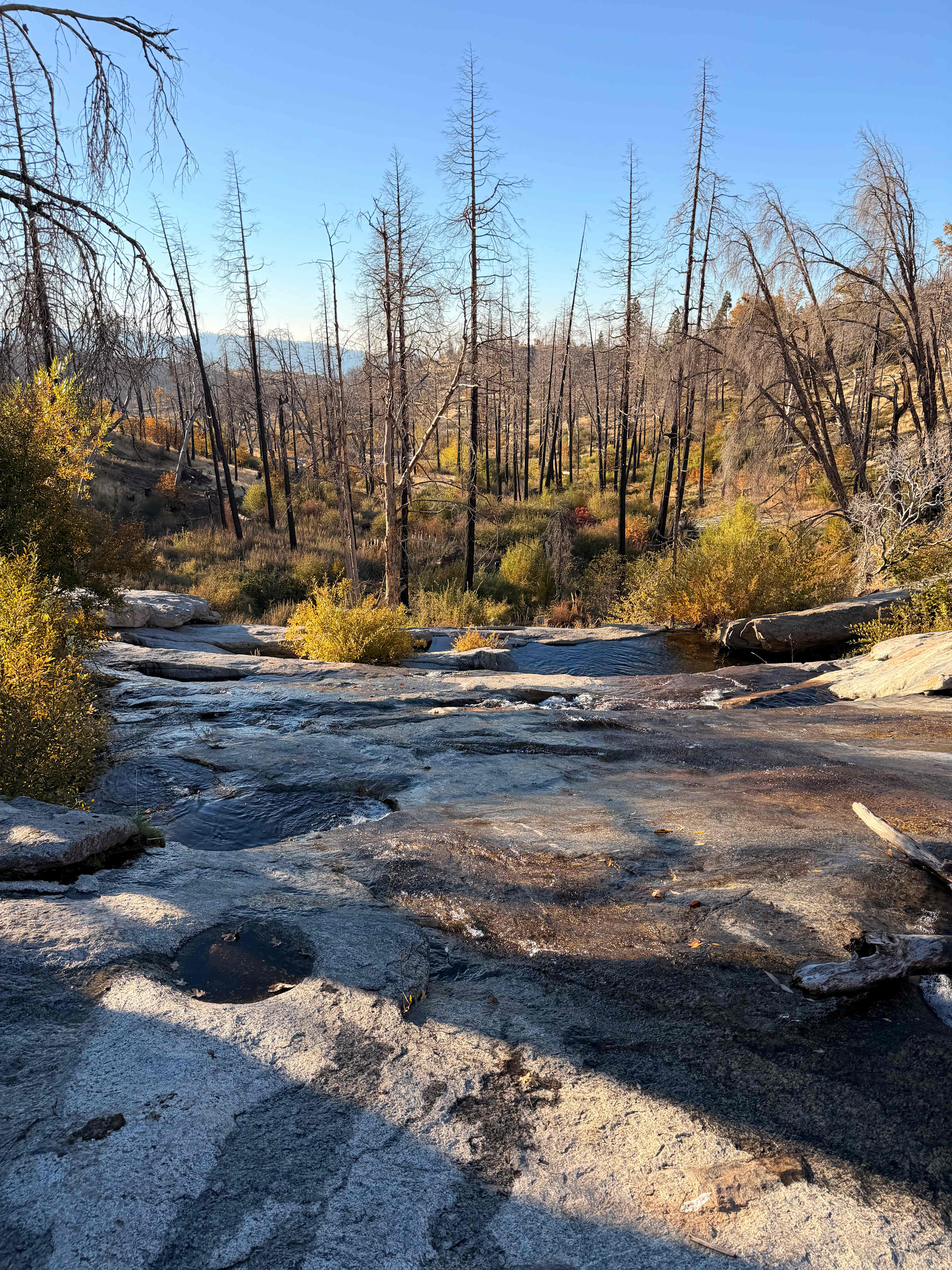 Musick Creek Falls by Shaver Lake