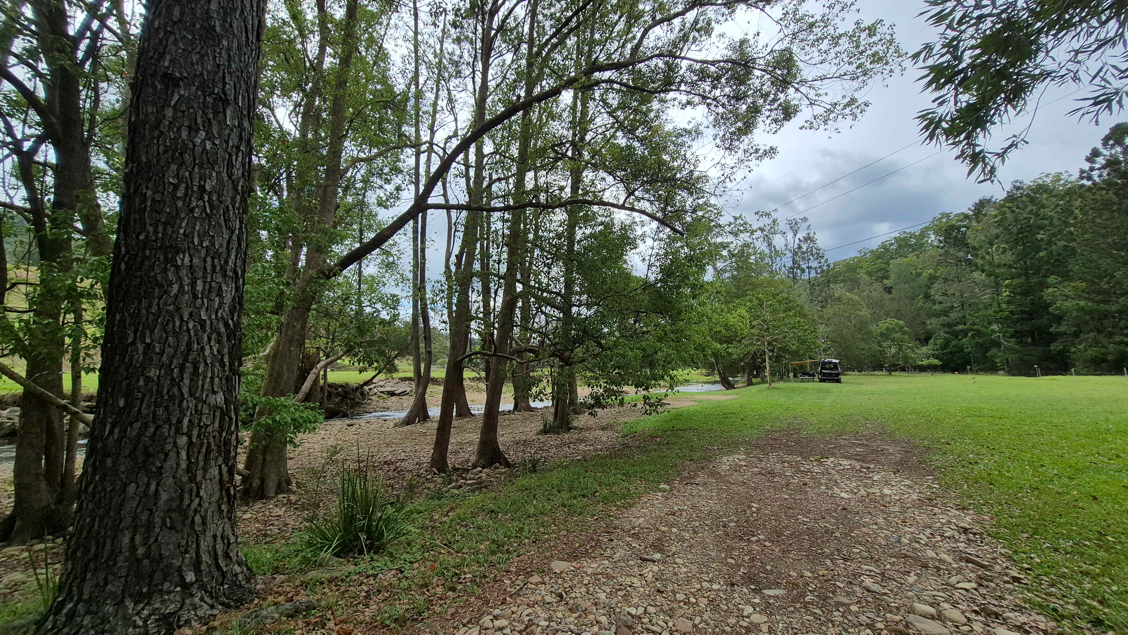 A Campsite on Crystal Creek