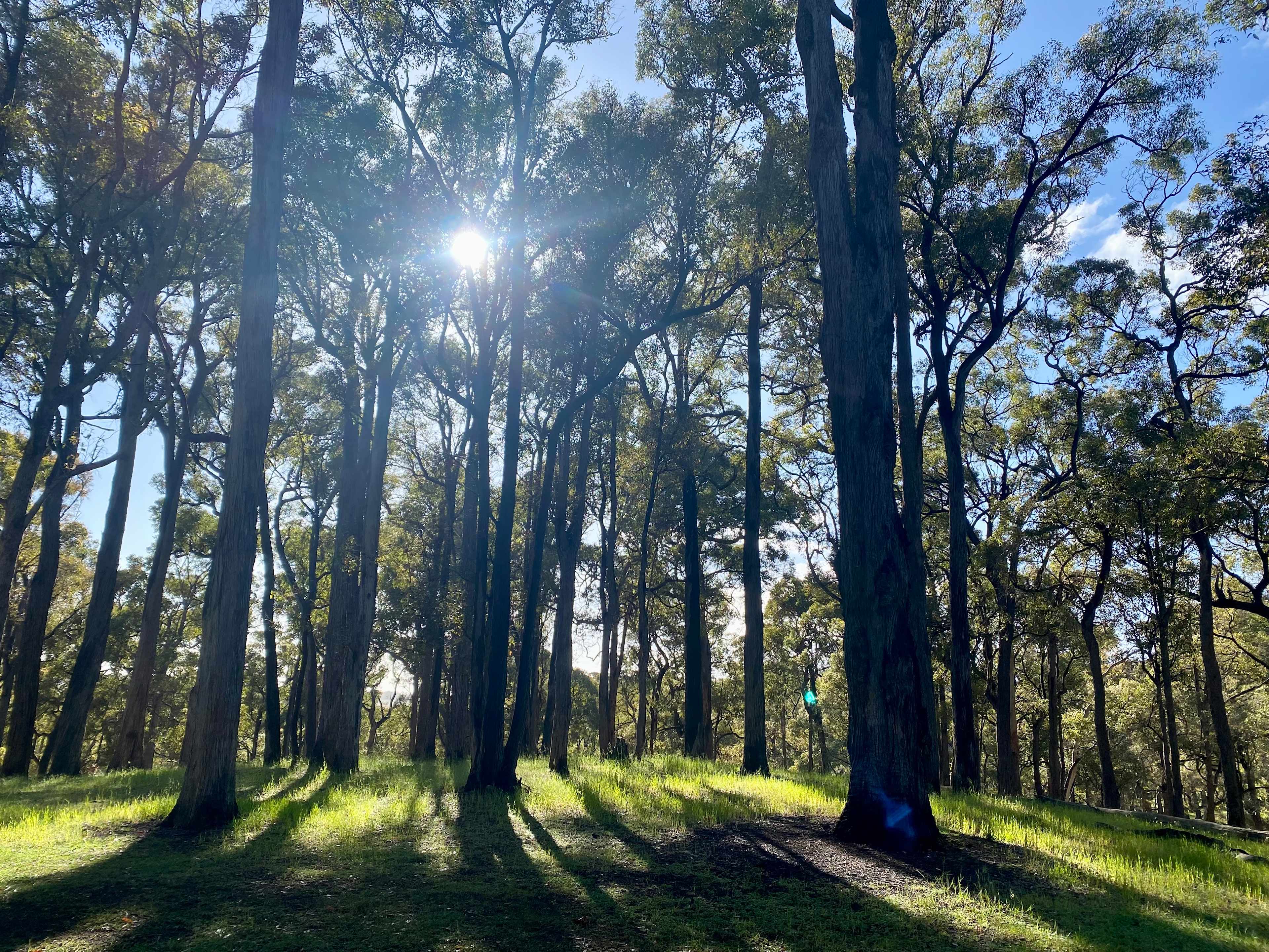 Parkland Bush Camp Mapanap
