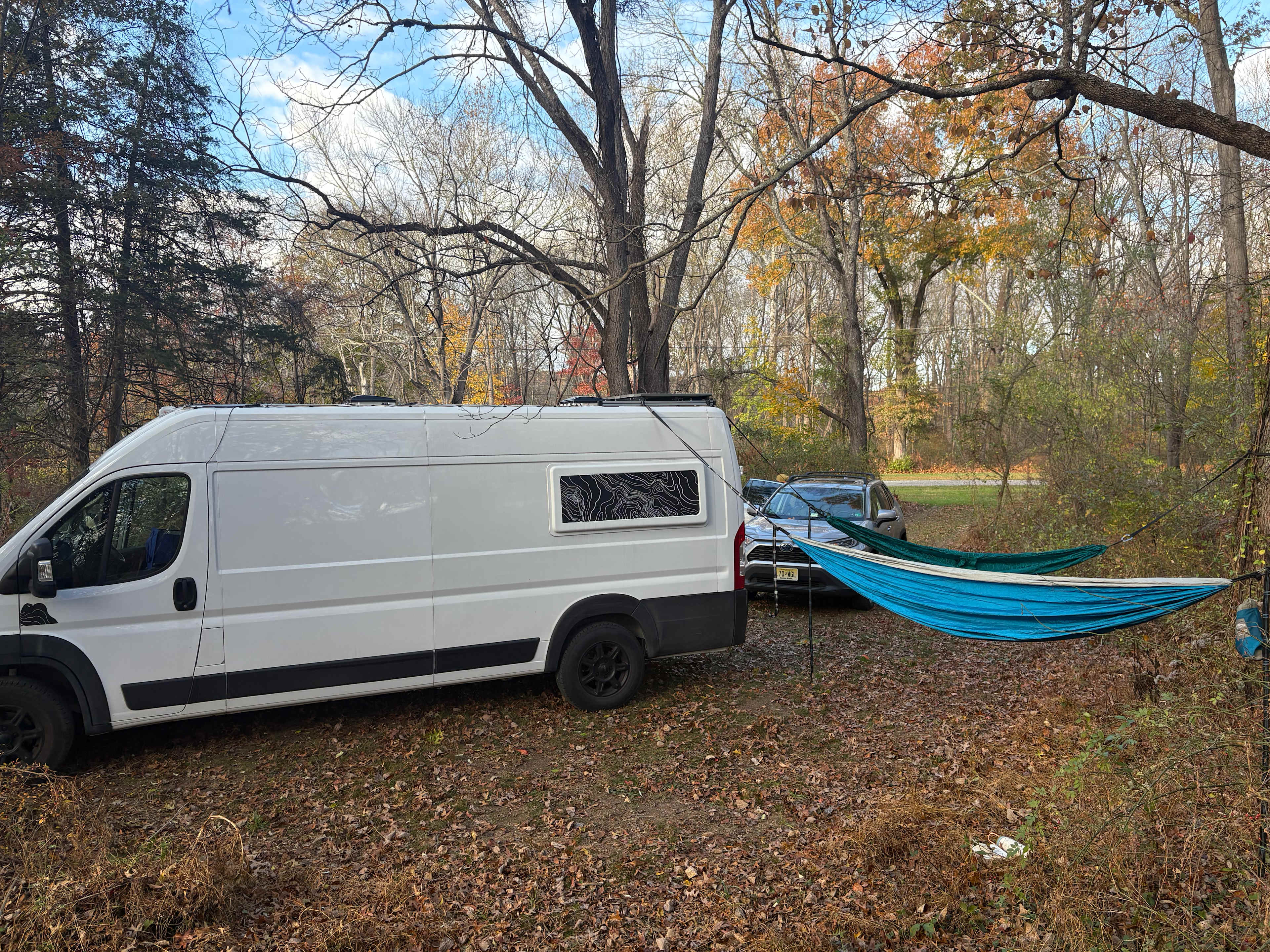 Wooded area with campsites