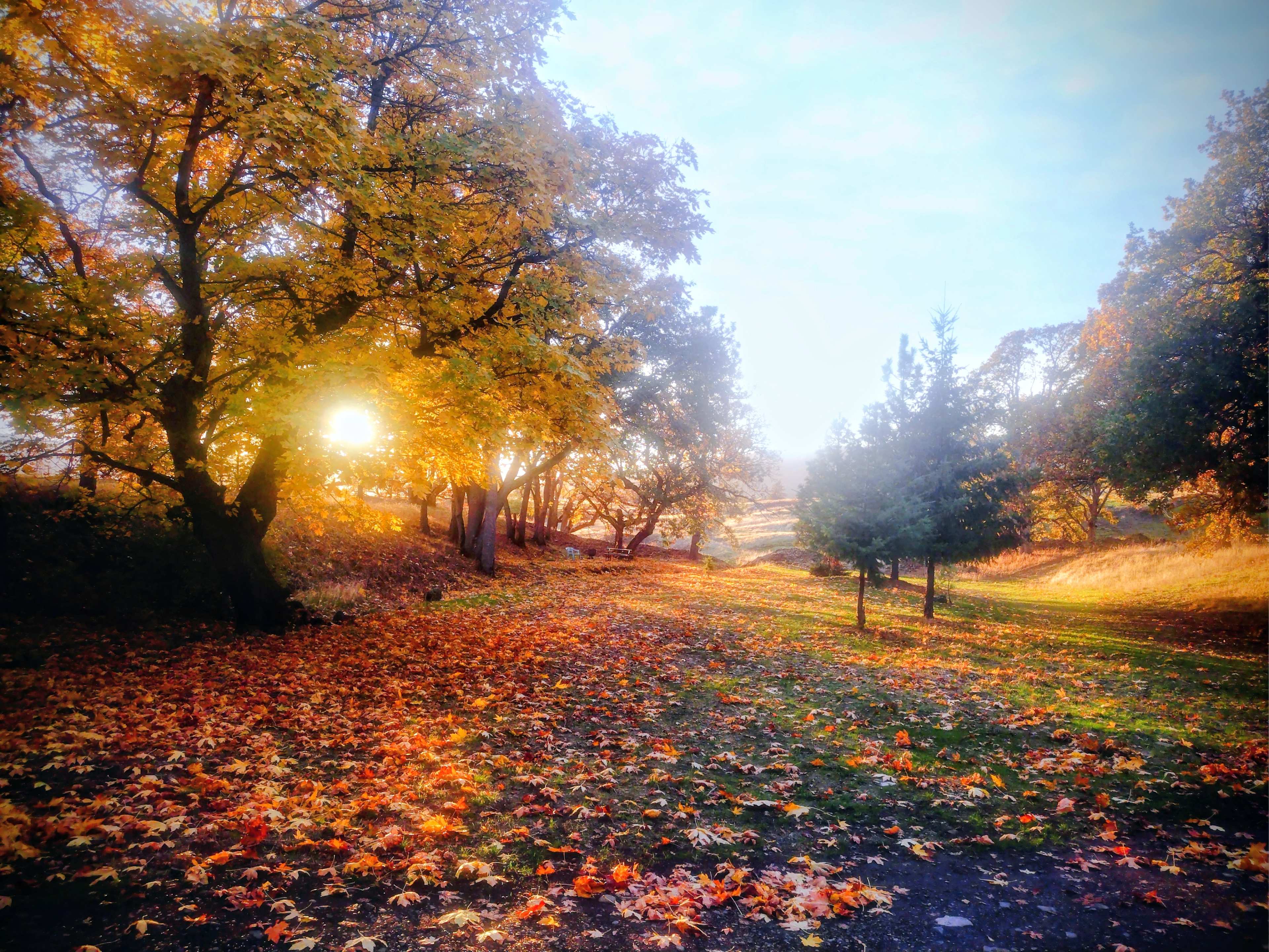 Harvest Haven Campground