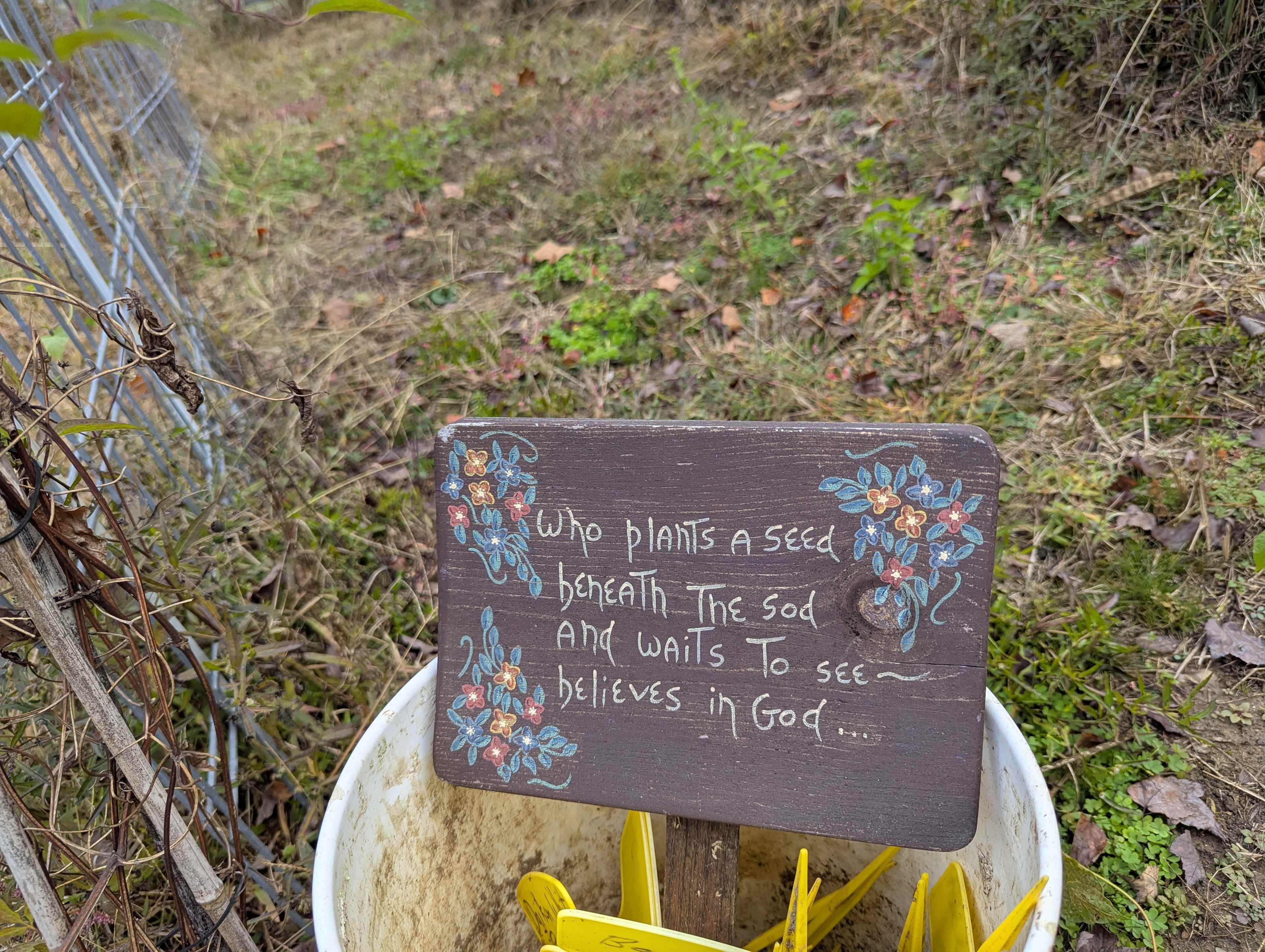 Conleys Creek Campground