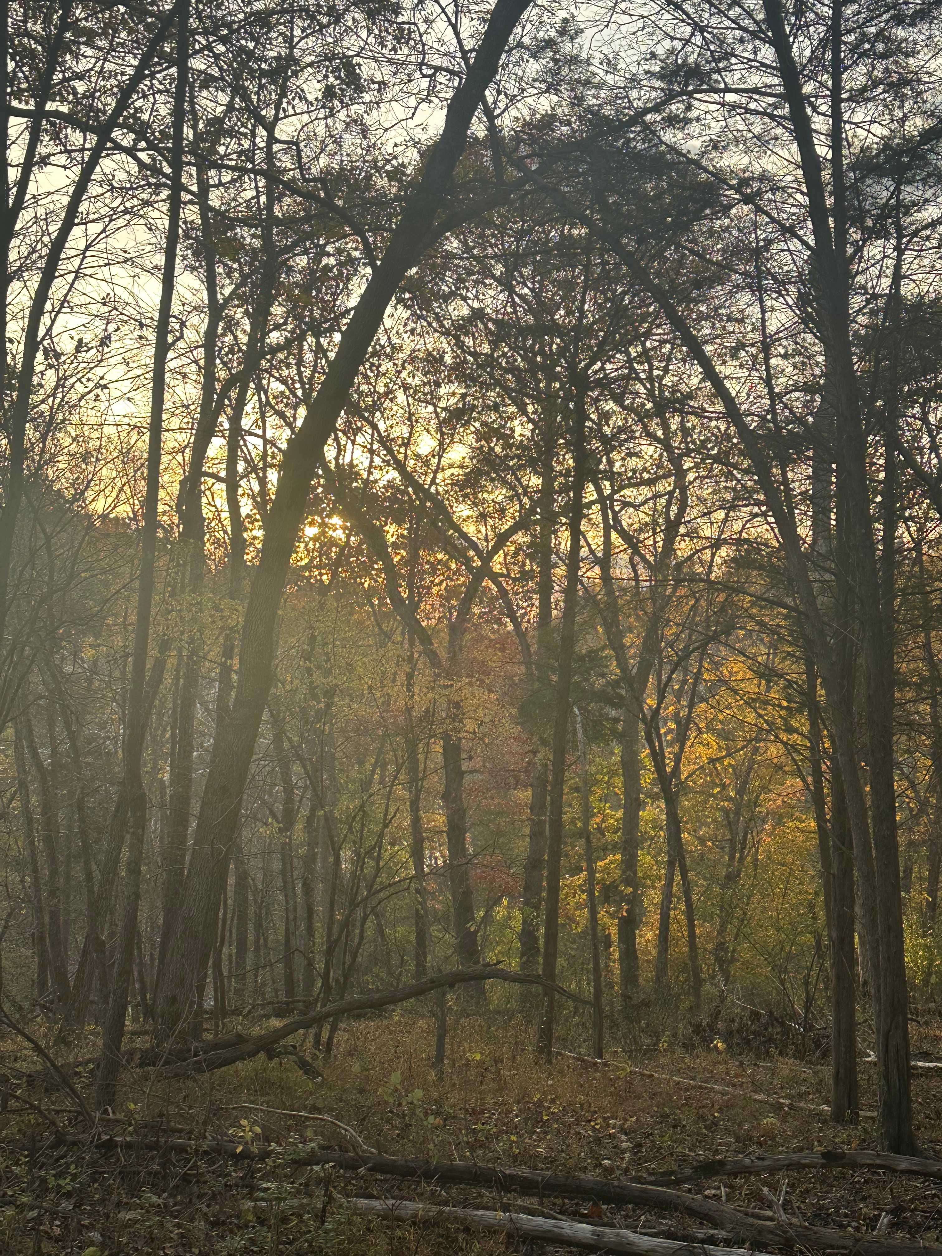 Camps at Evensong Farm
