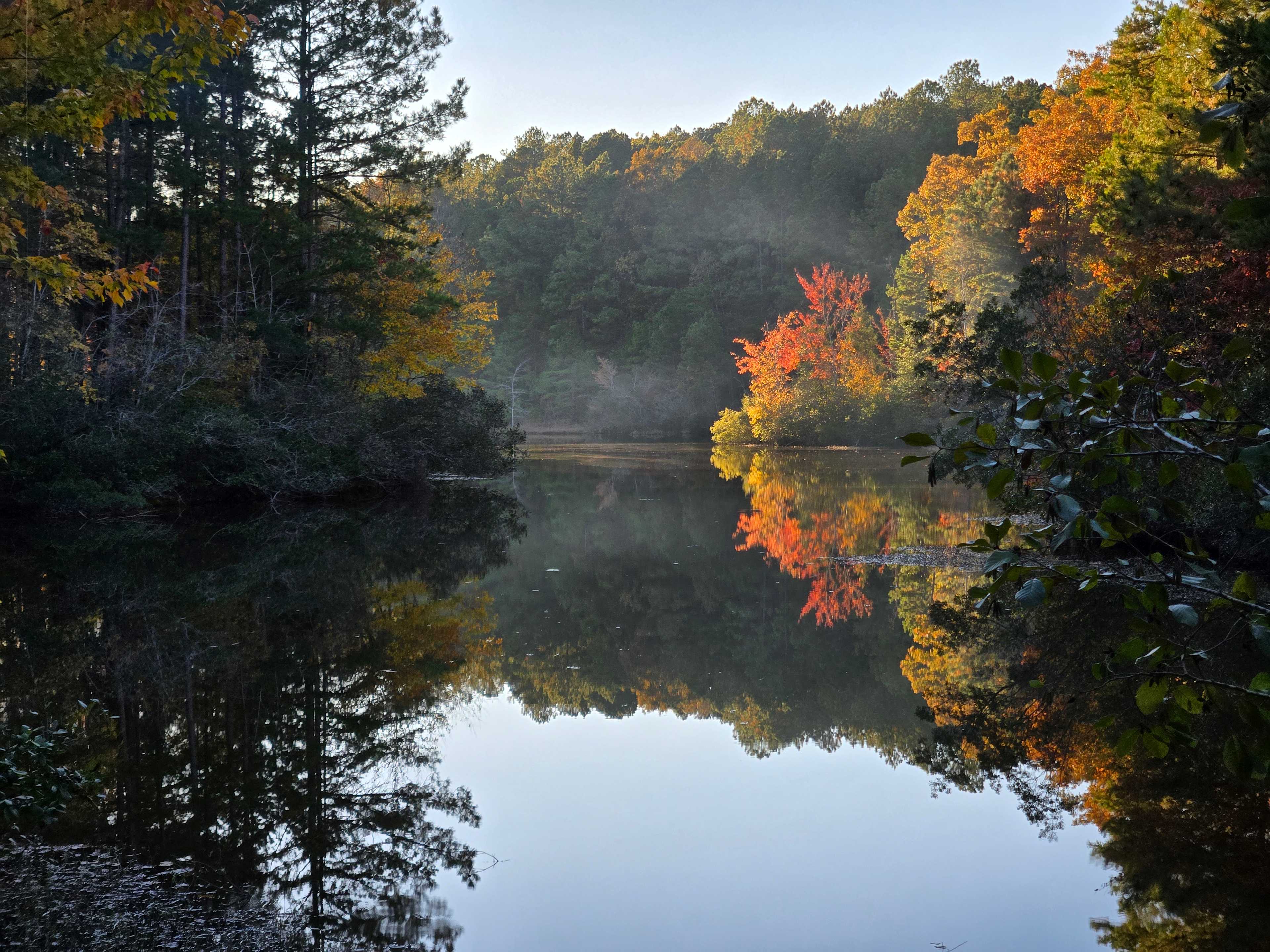 Lavender & Lore Farms Campsite