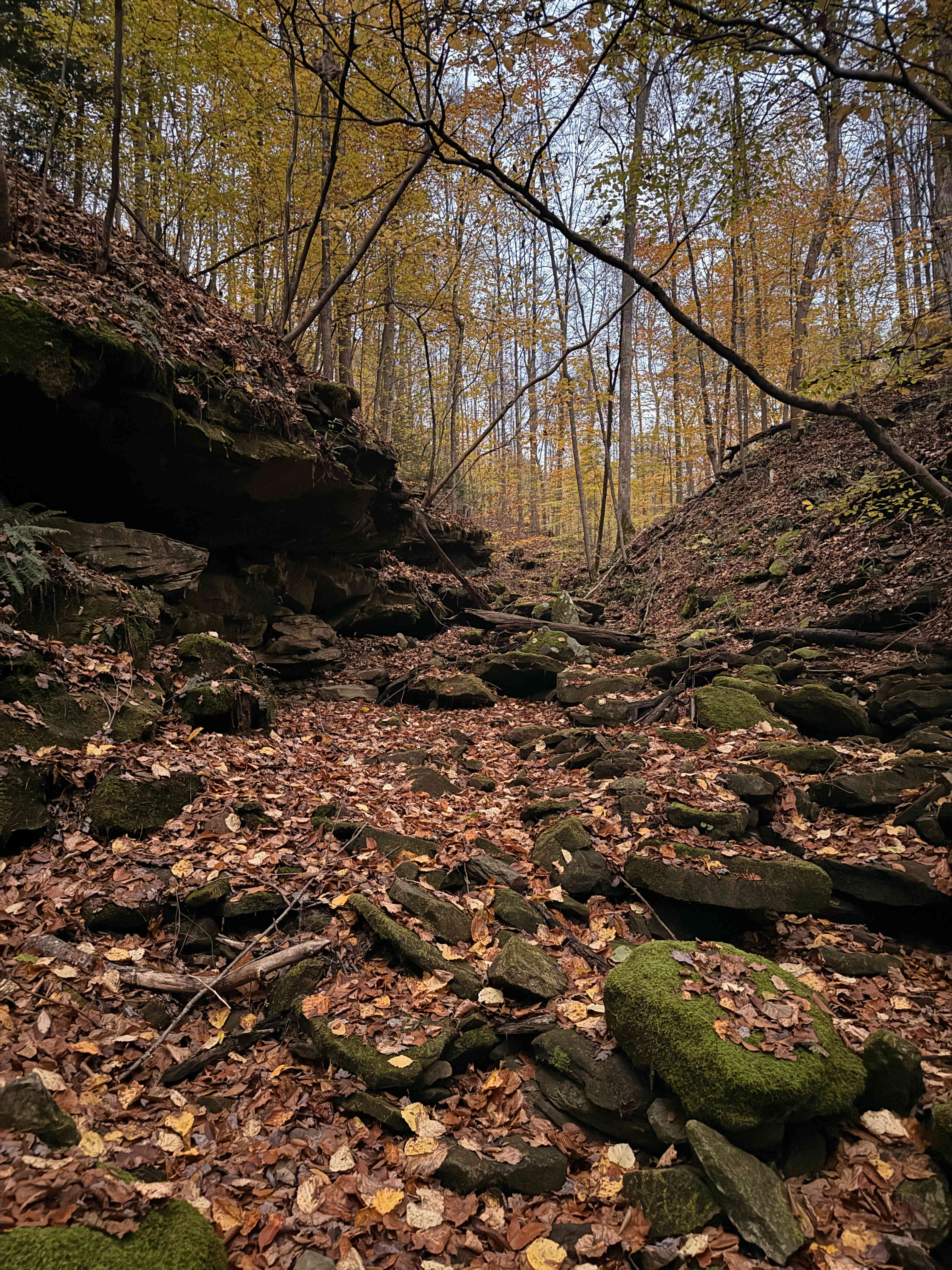 The Turkey Hollow Campground