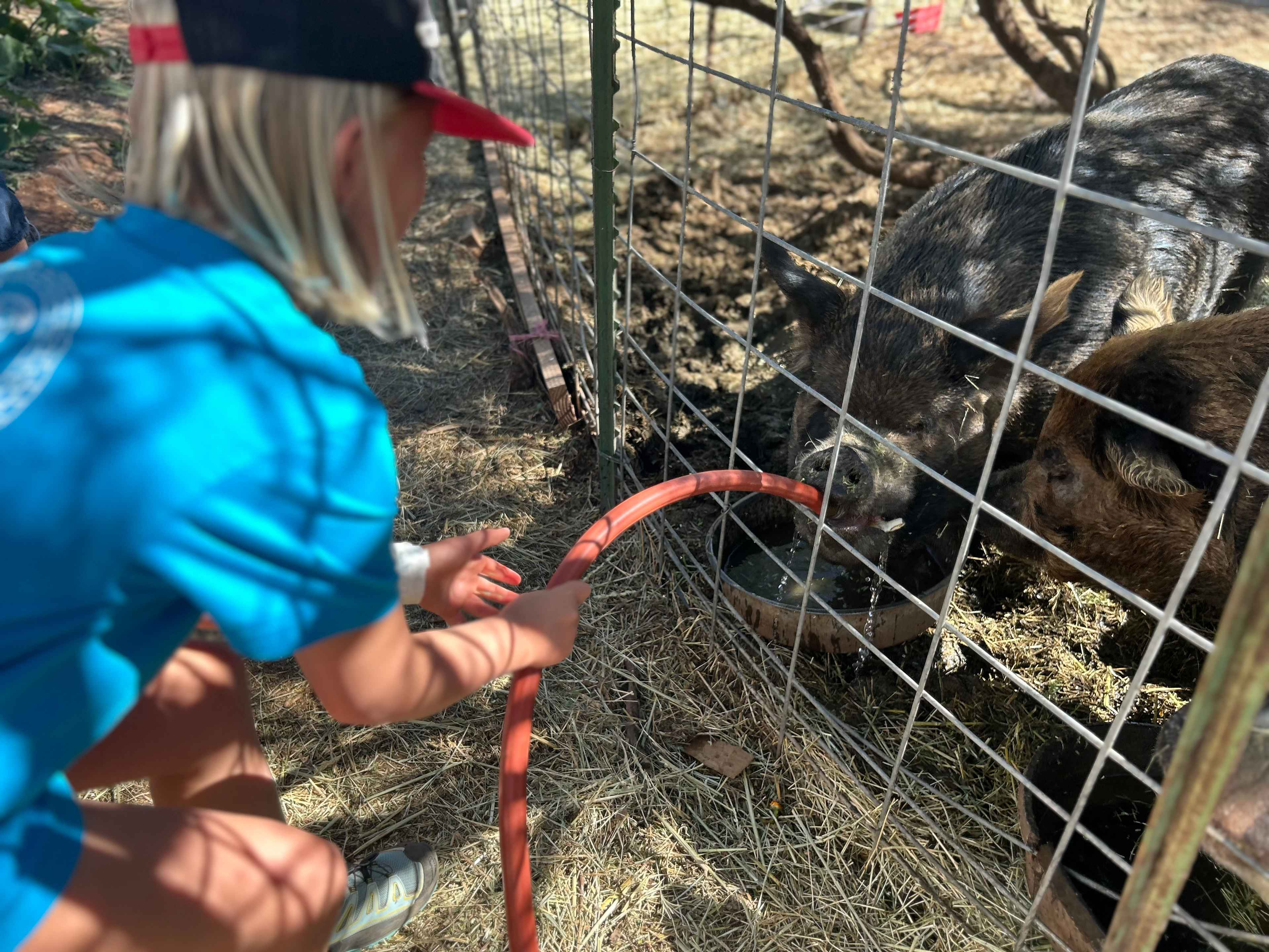 Rural Ranch & Petting Farm