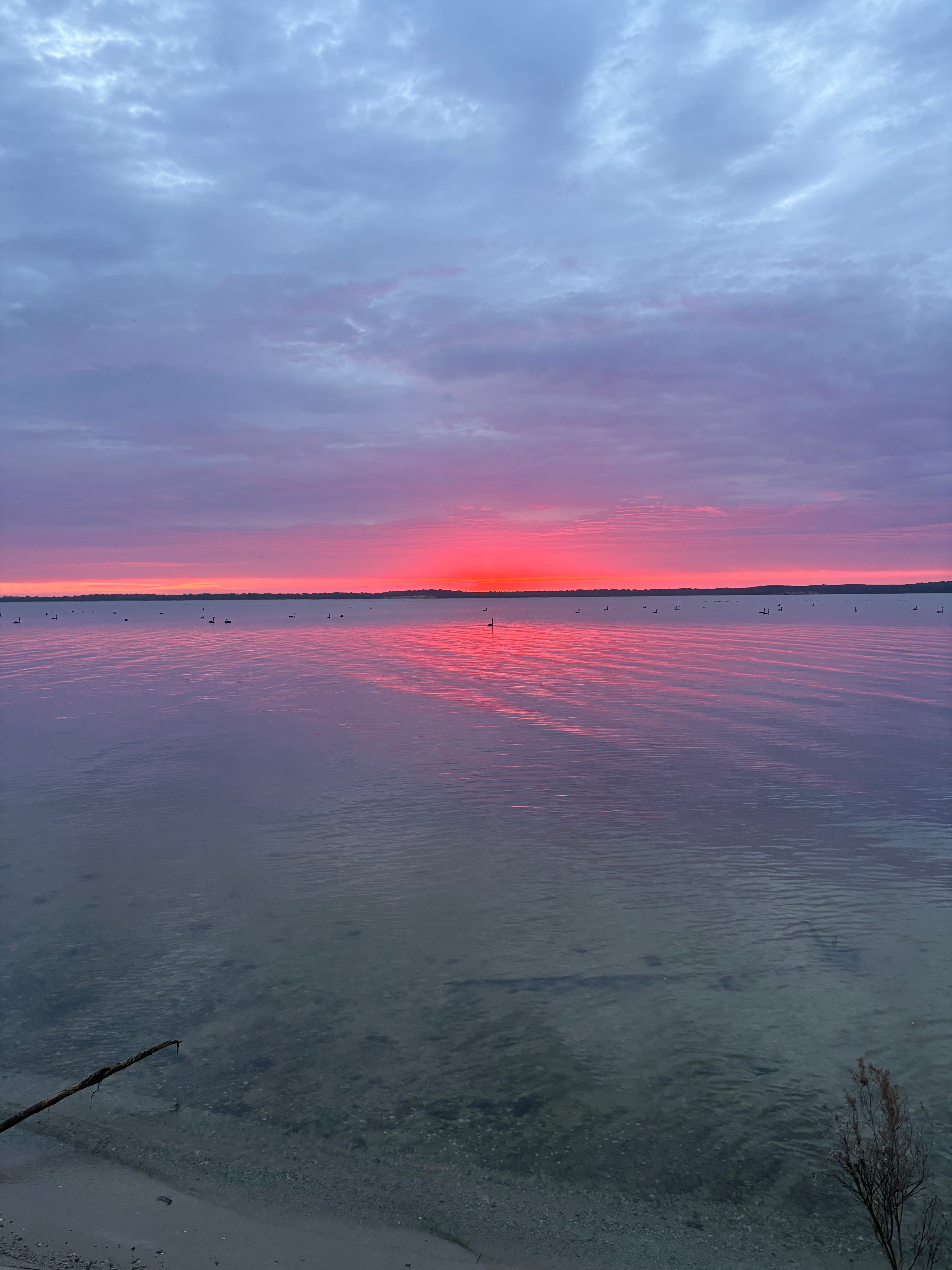 Beautiful morning first light and not a breath of wind.. lots of black swans to add to the serenity 